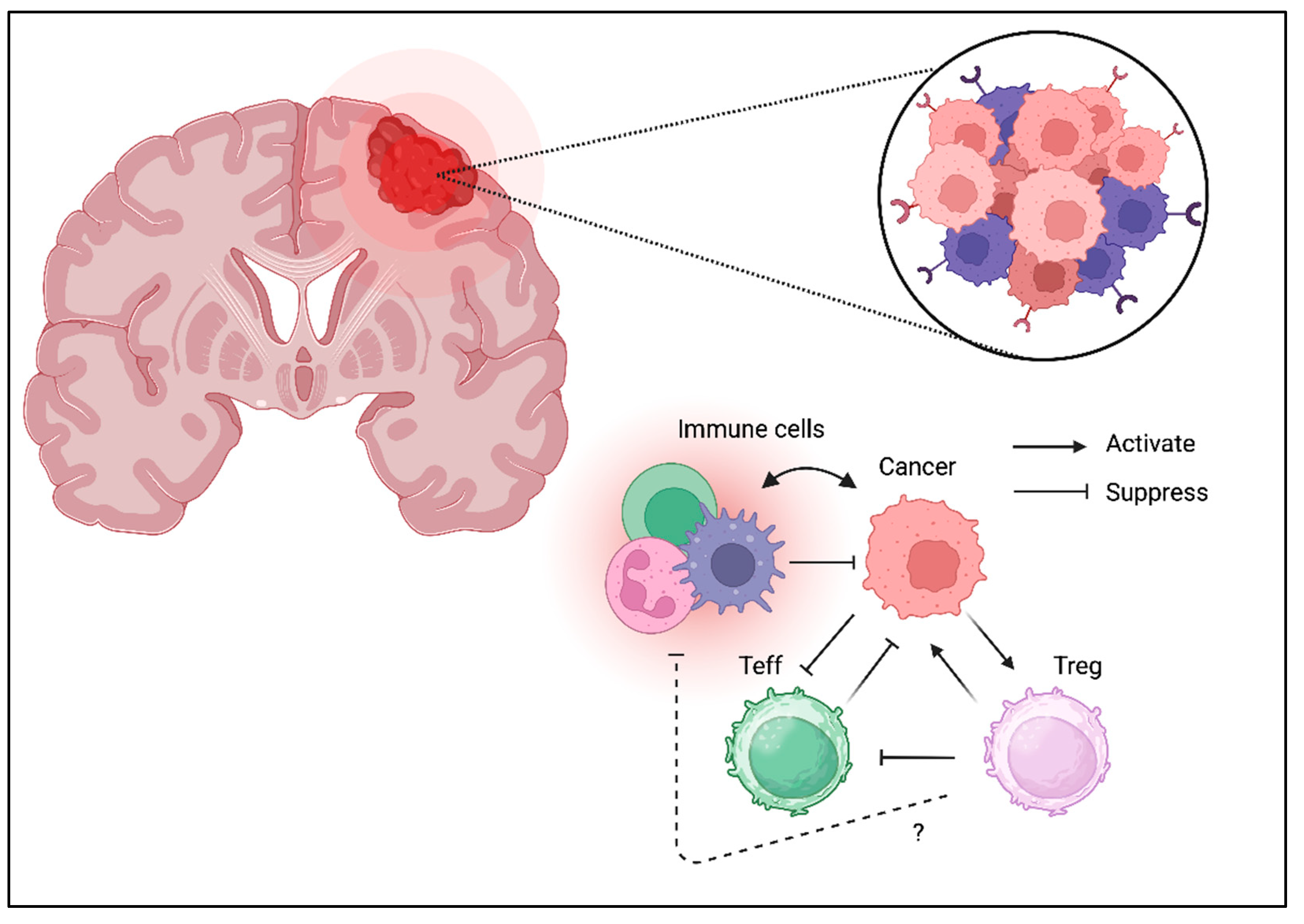 Preprints 158406 g007