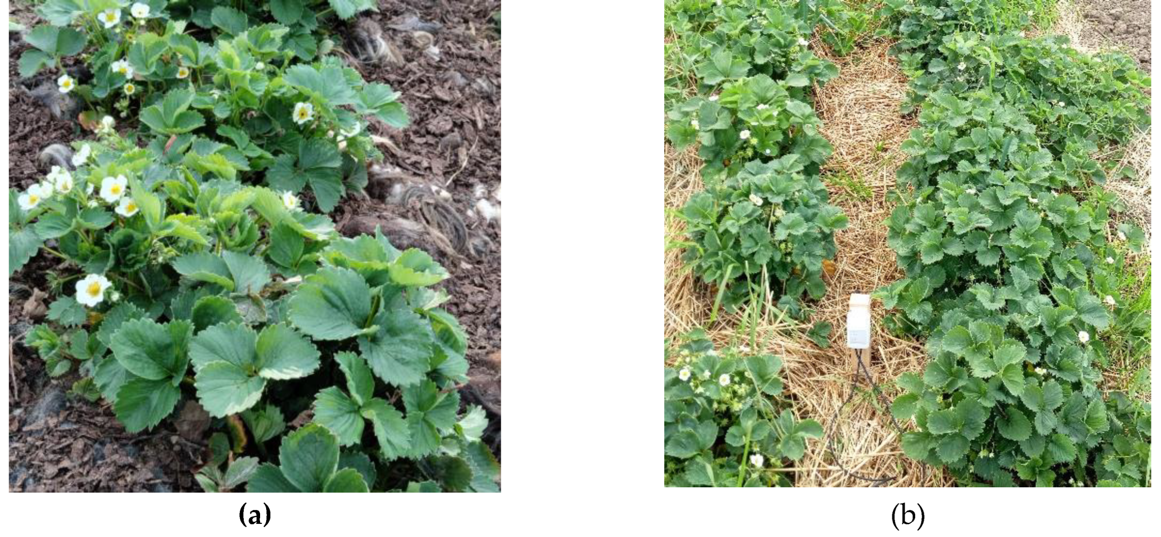 Preprints 121180 g001