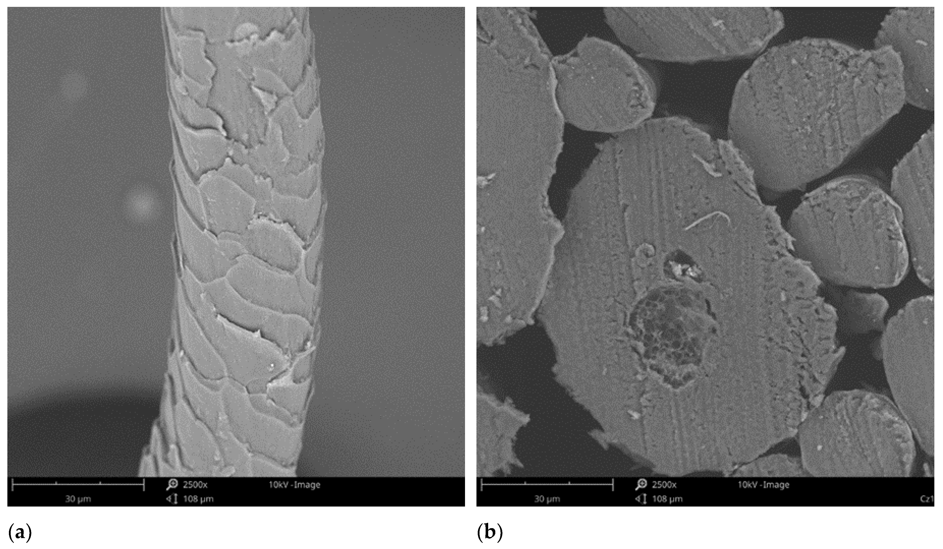 Preprints 121180 g008
