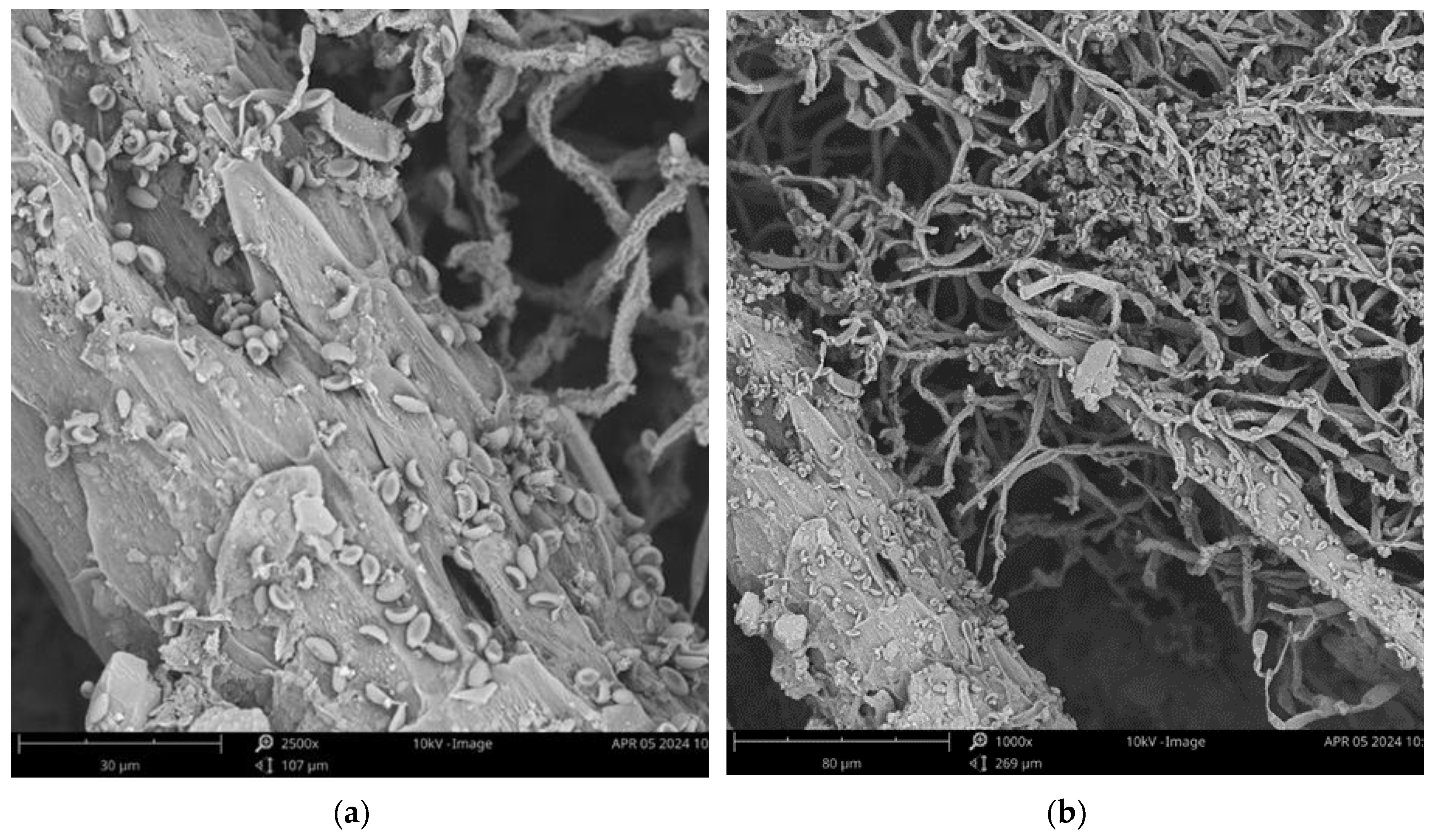 Preprints 121180 g009