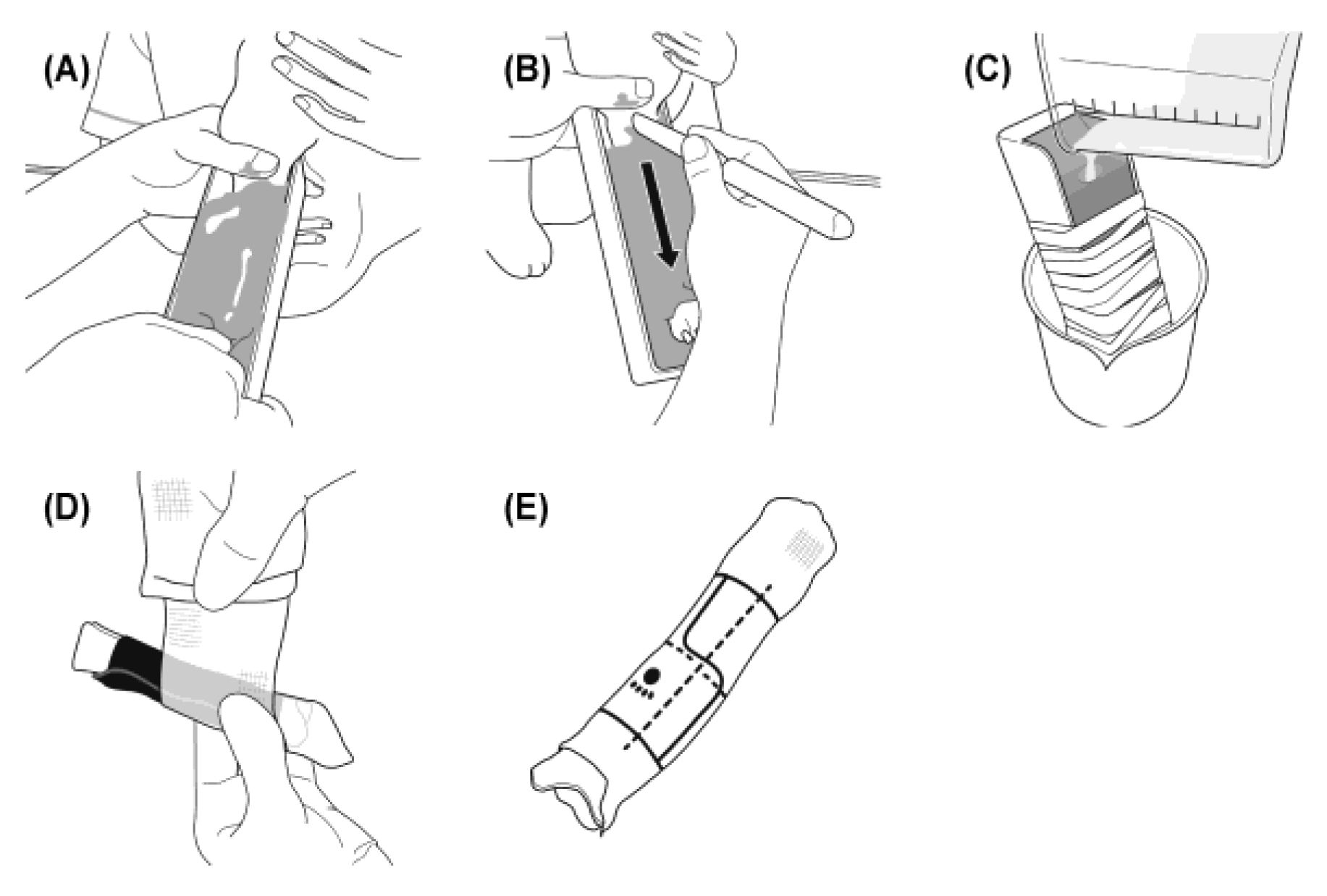Preprints 180414 g002