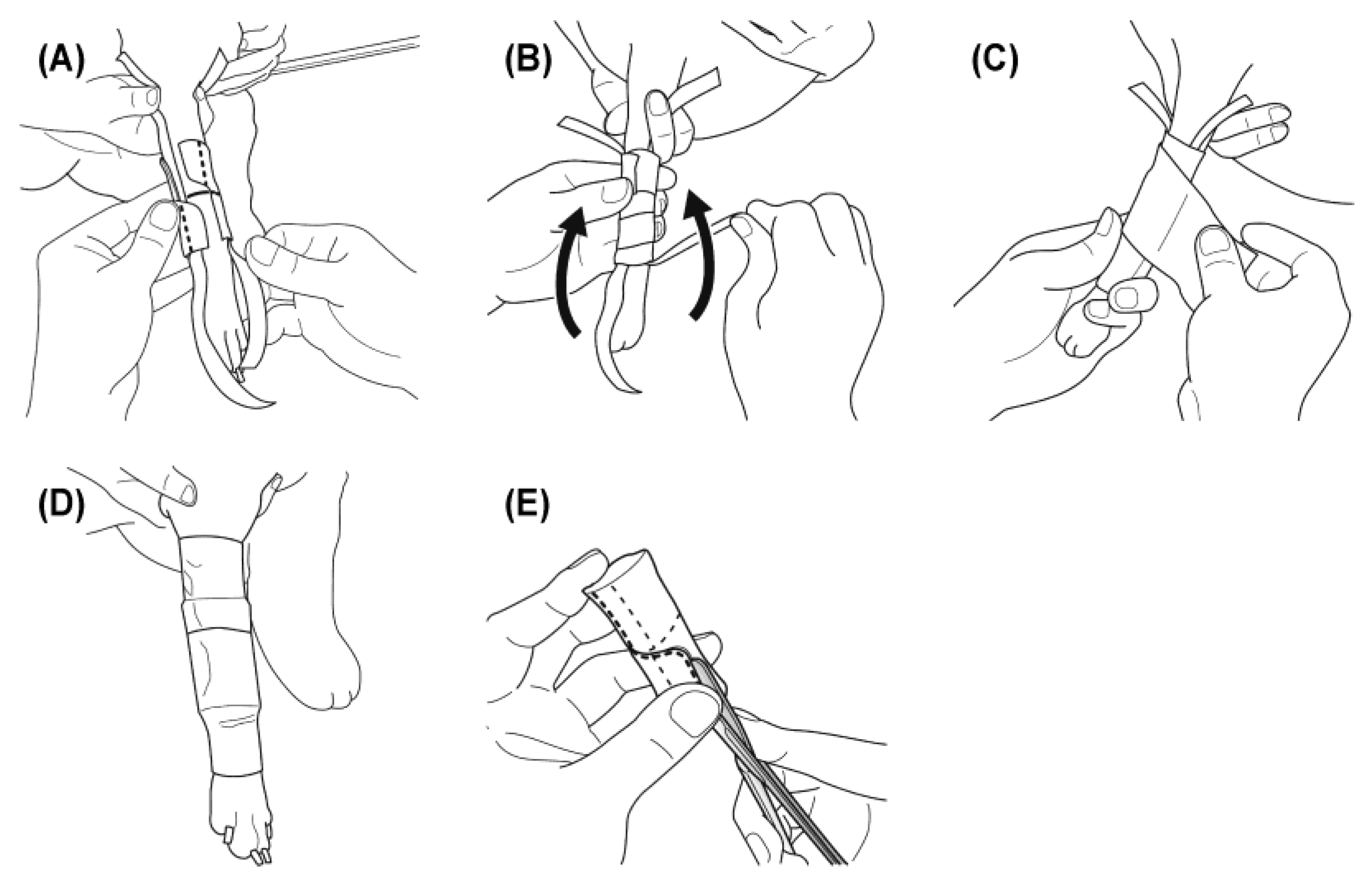 Preprints 180414 g003