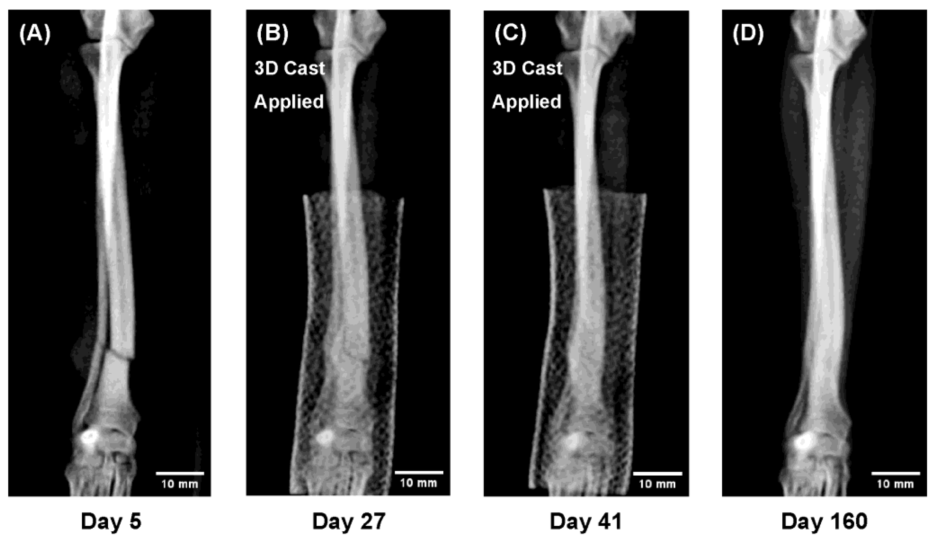Preprints 180414 g004