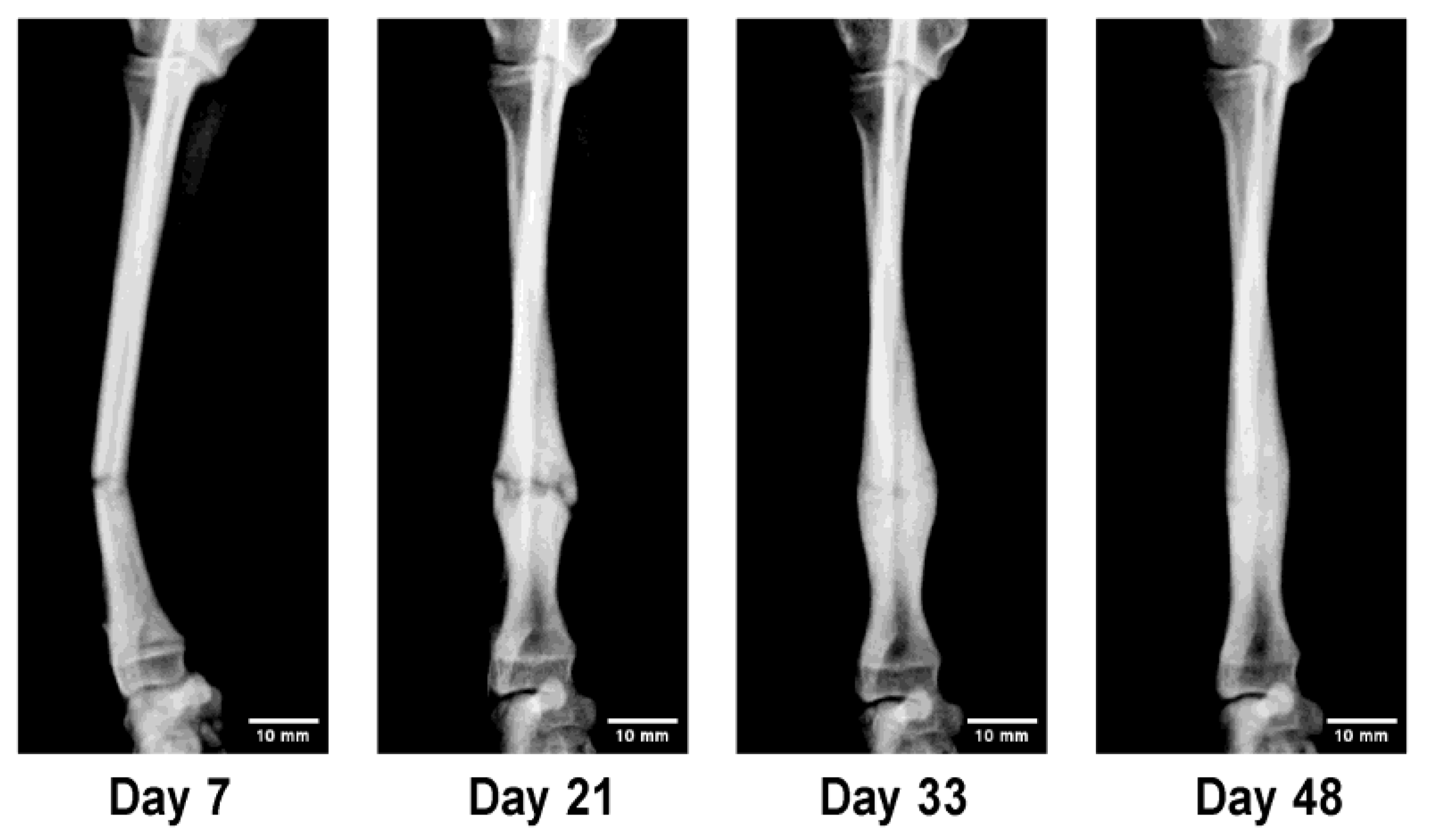 Preprints 180414 g005