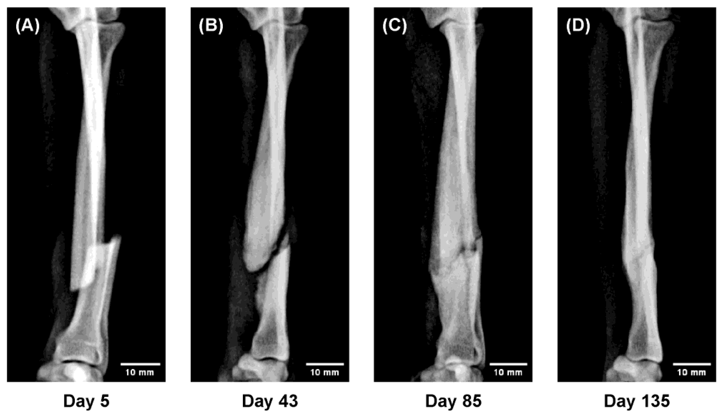 Preprints 180414 g006