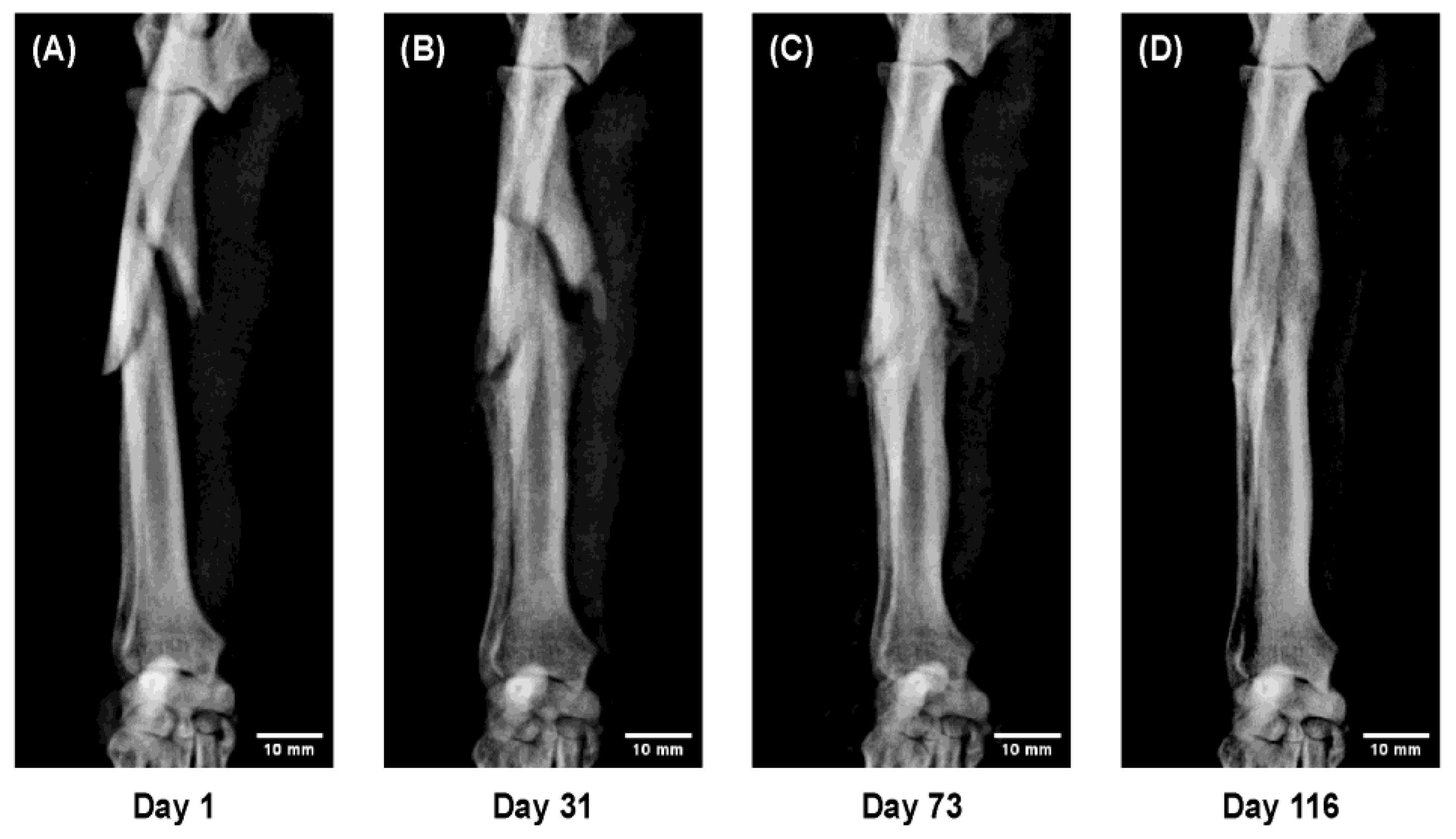 Preprints 180414 g007