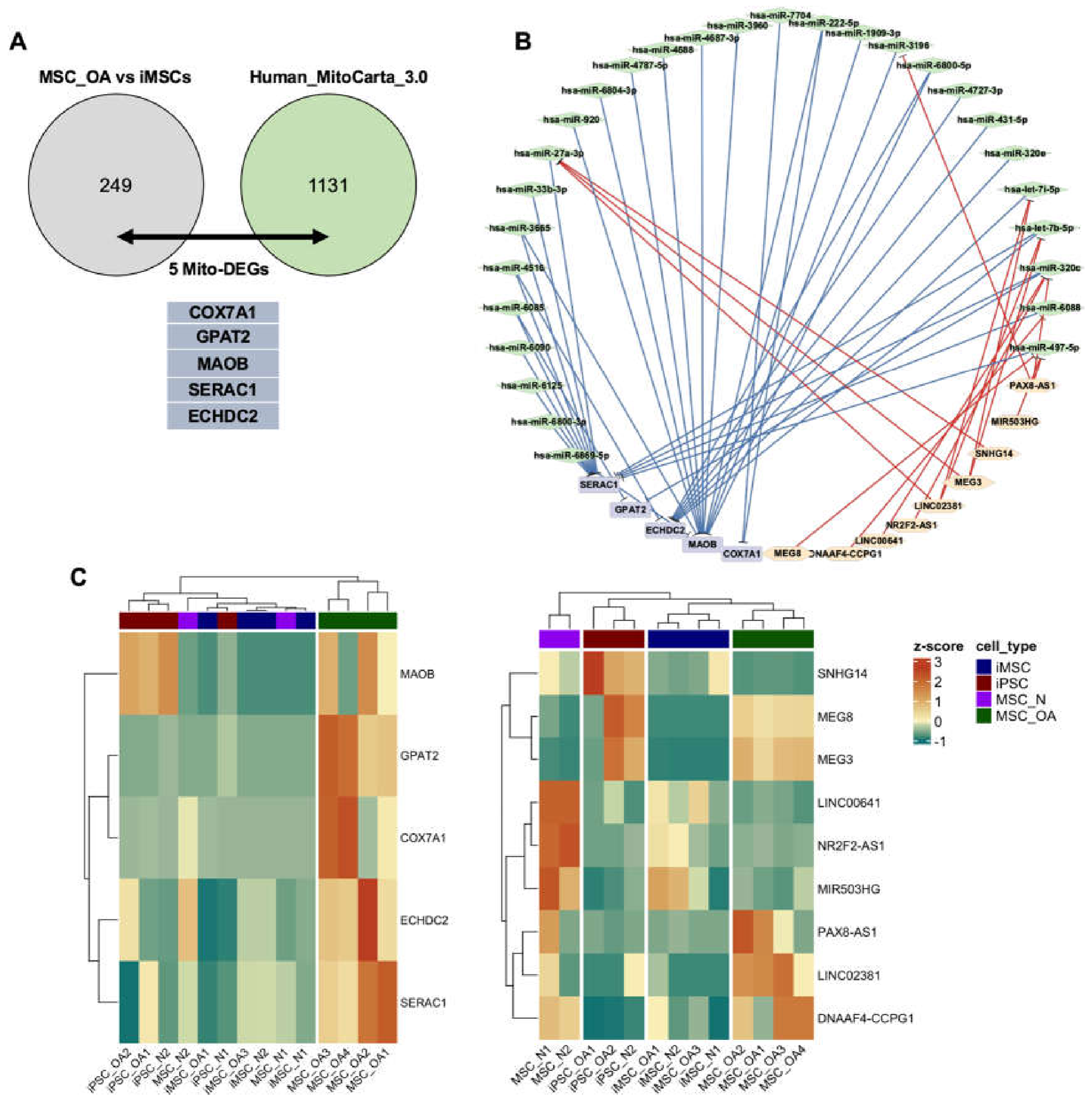 Preprints 220282 g004 Preprints 220282 g004
