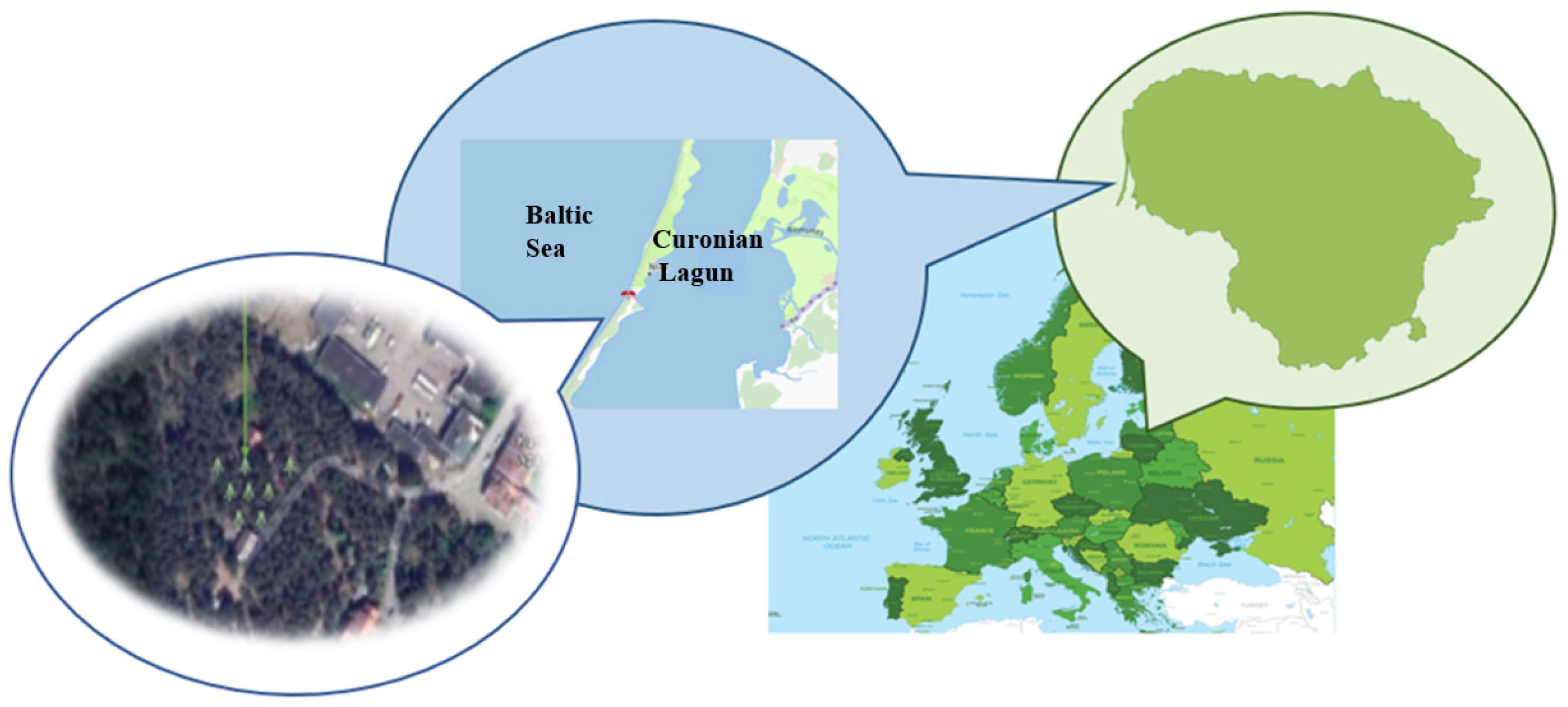 Preprints 163489 g001