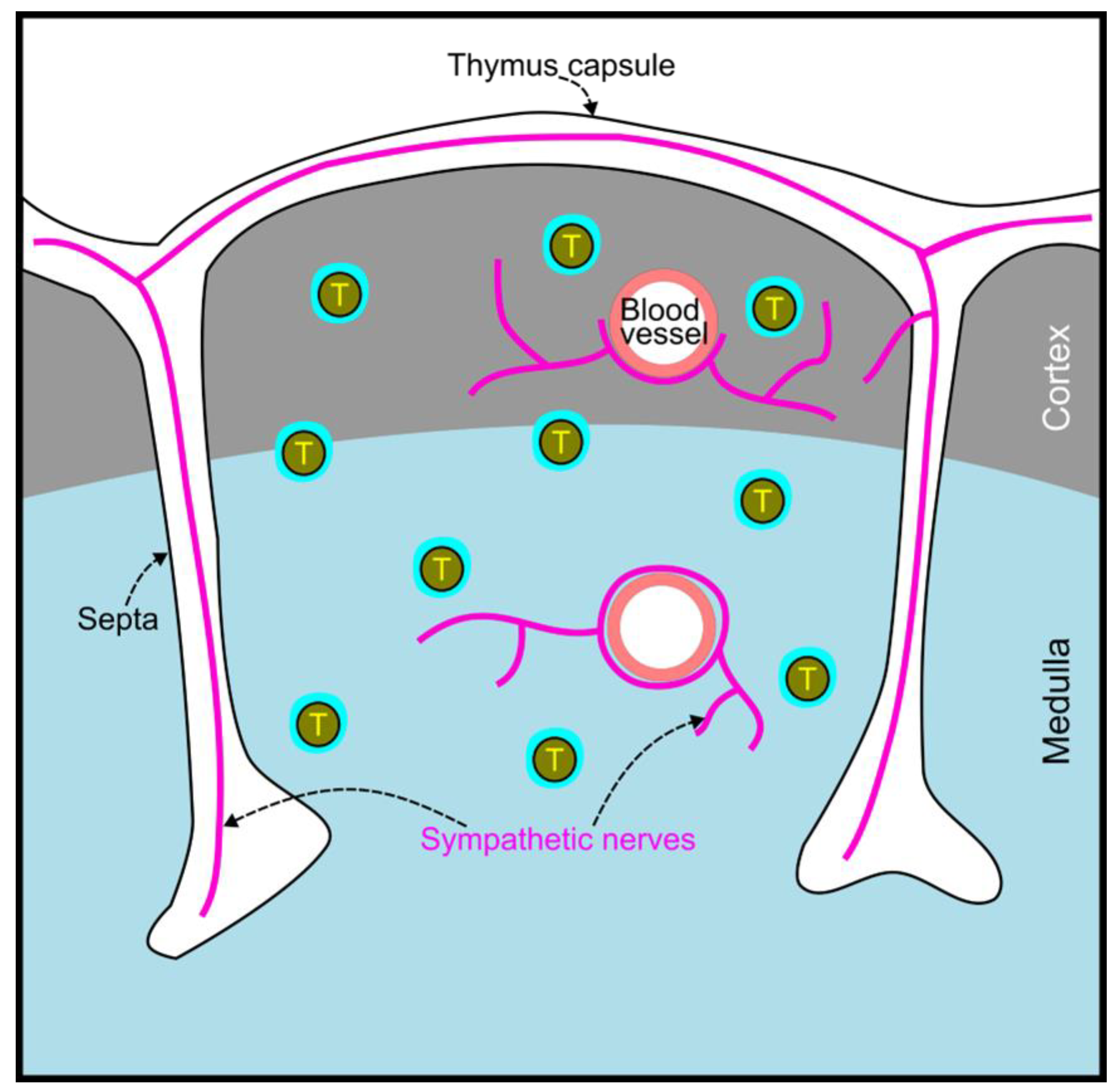 Preprints 148499 g002
