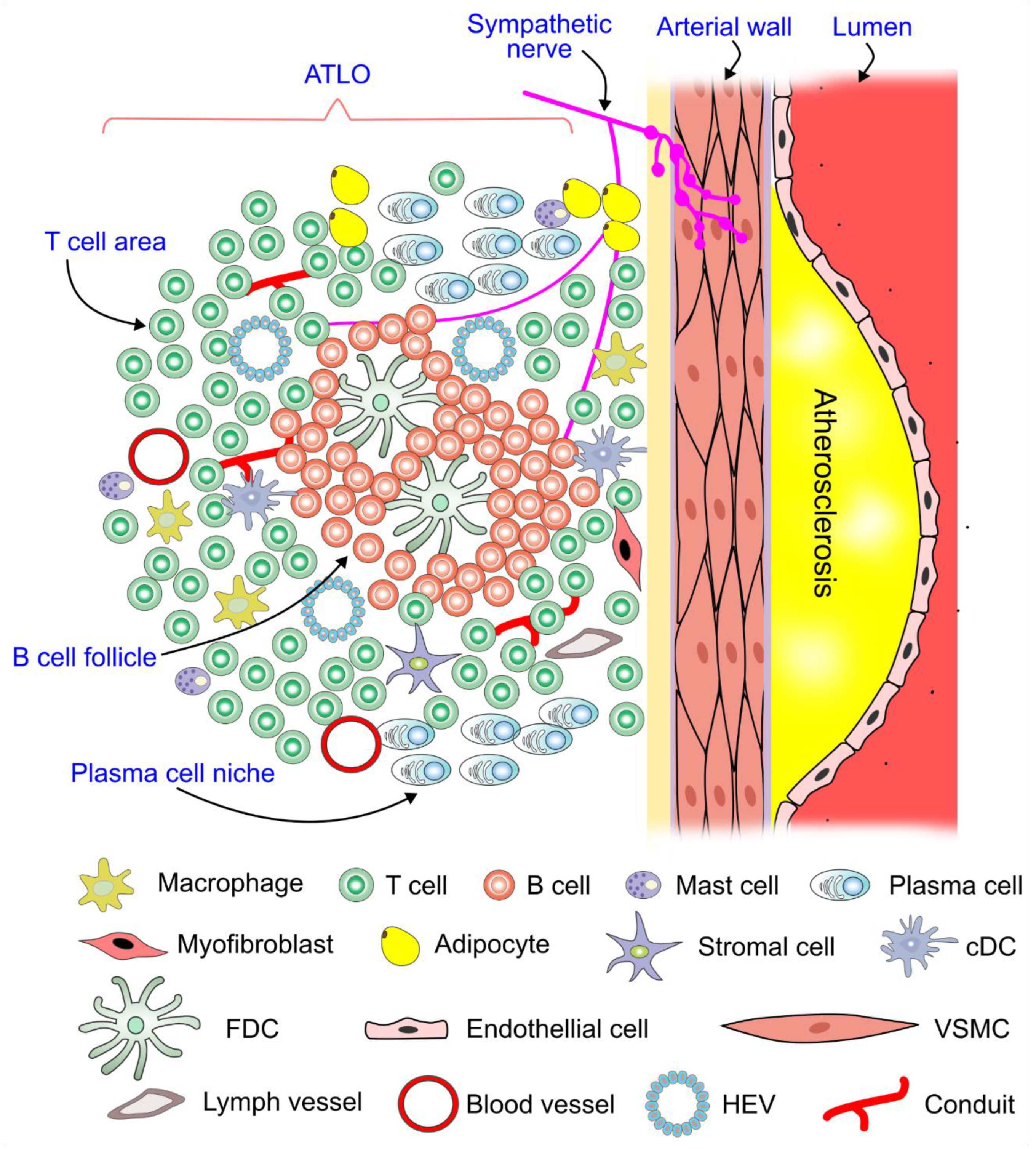 Preprints 148499 g005
