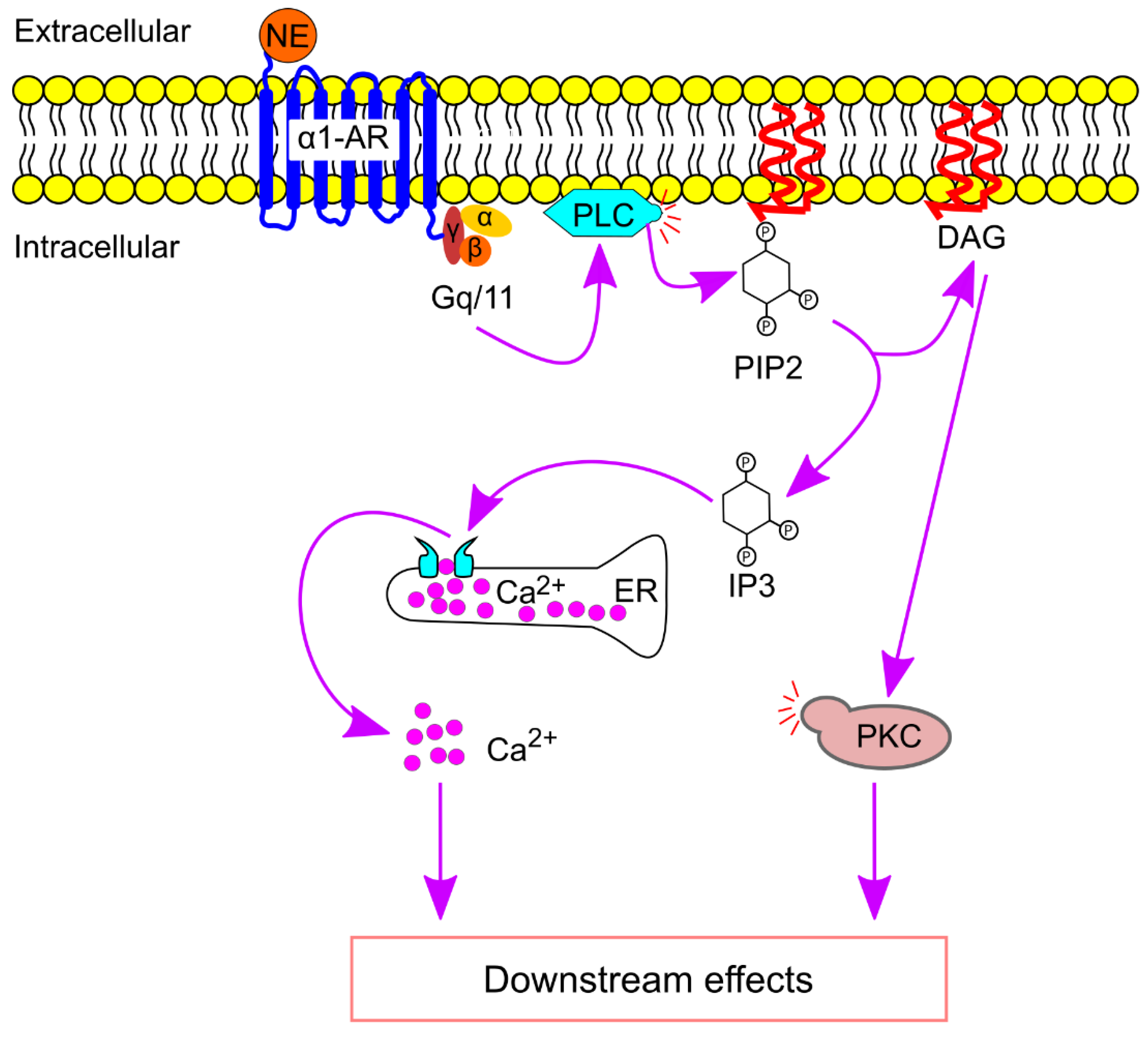 Preprints 148499 g006