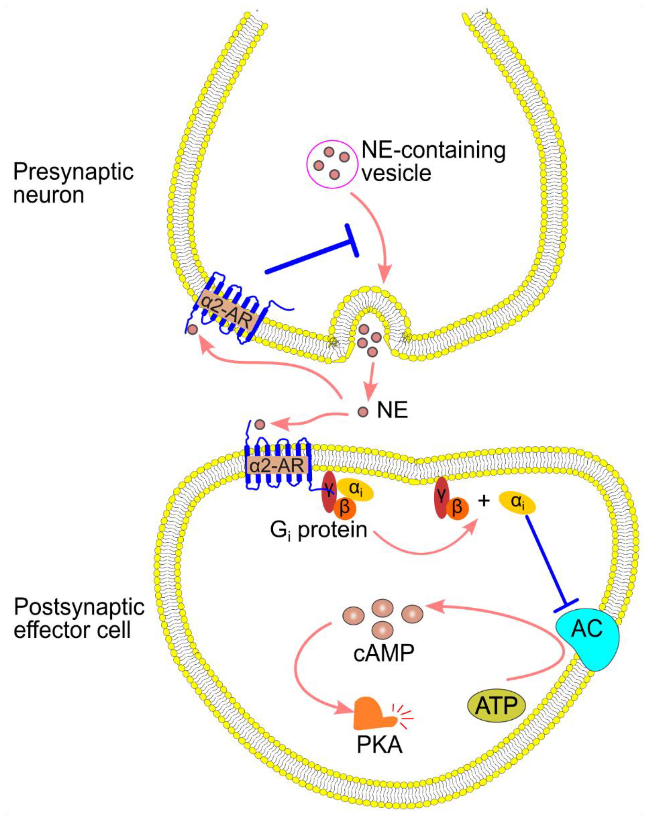 Preprints 148499 g007