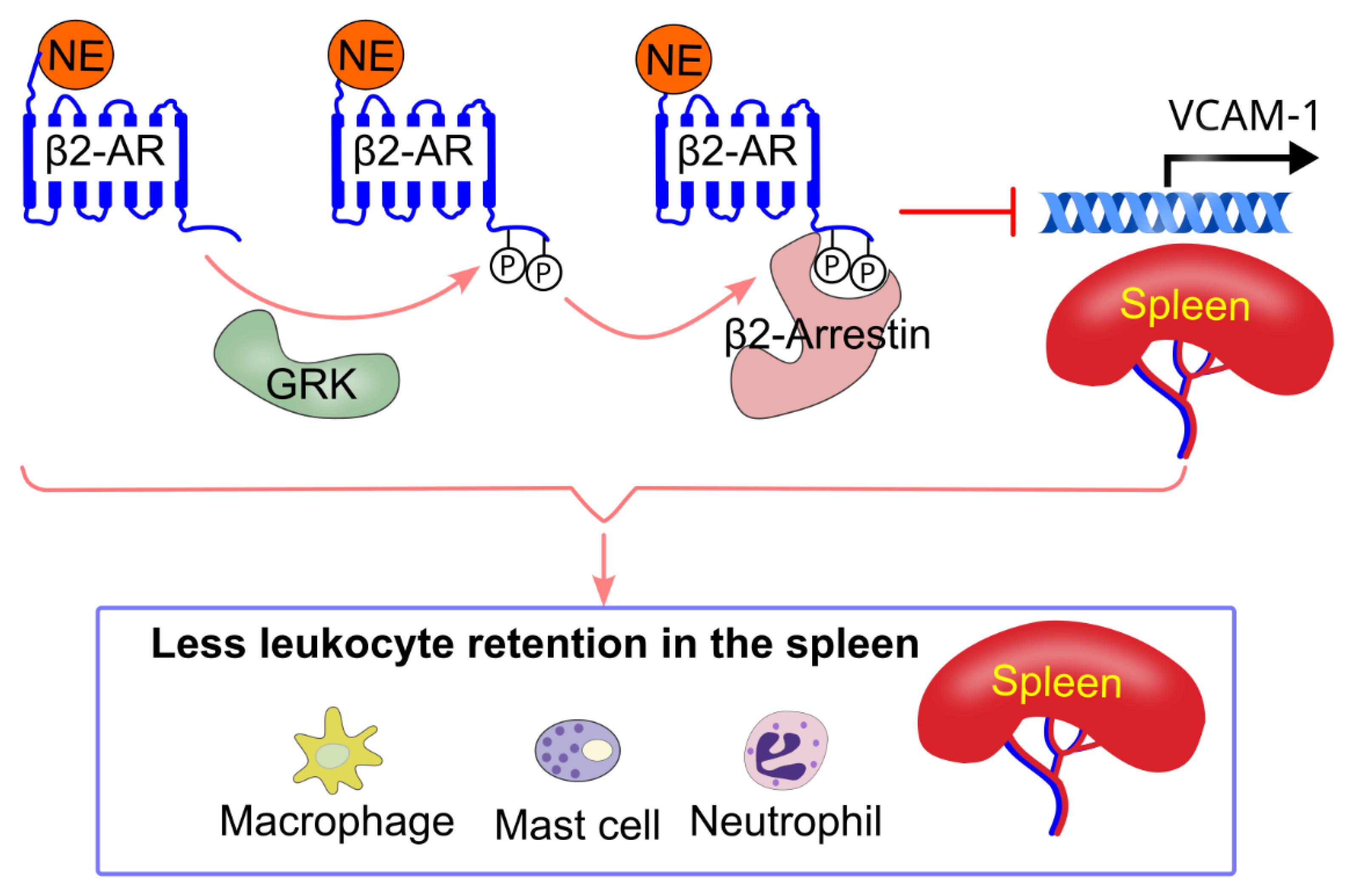 Preprints 148499 g009