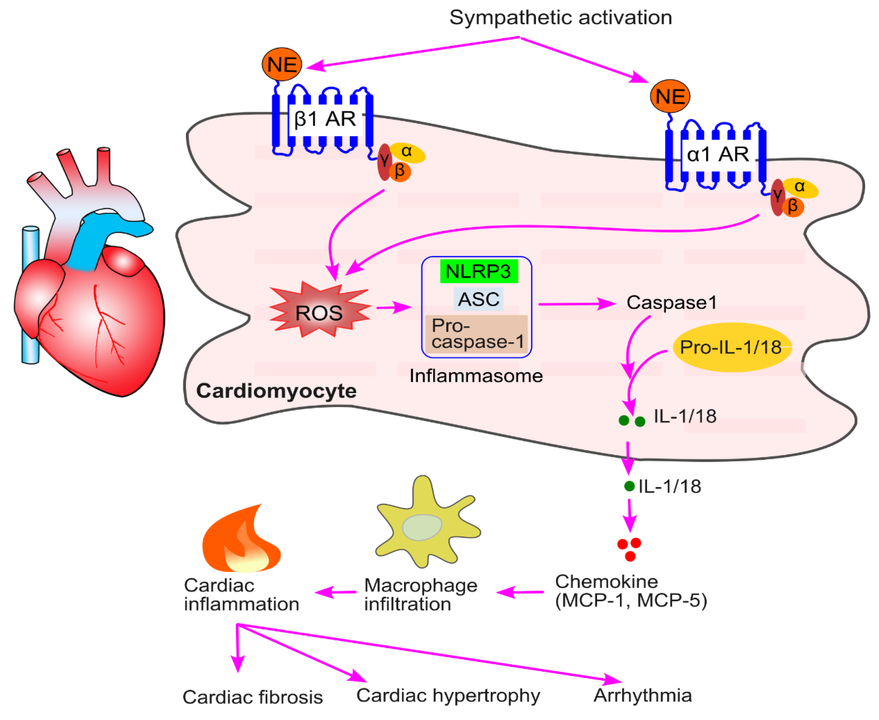 Preprints 148499 g012