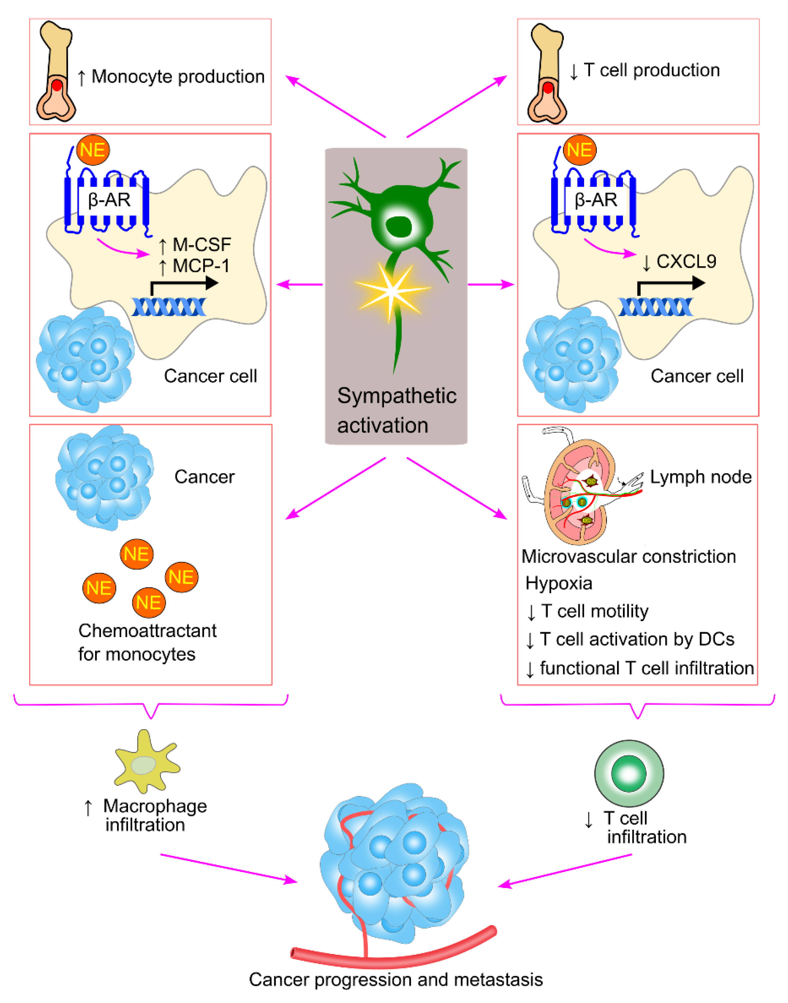 Preprints 148499 g014