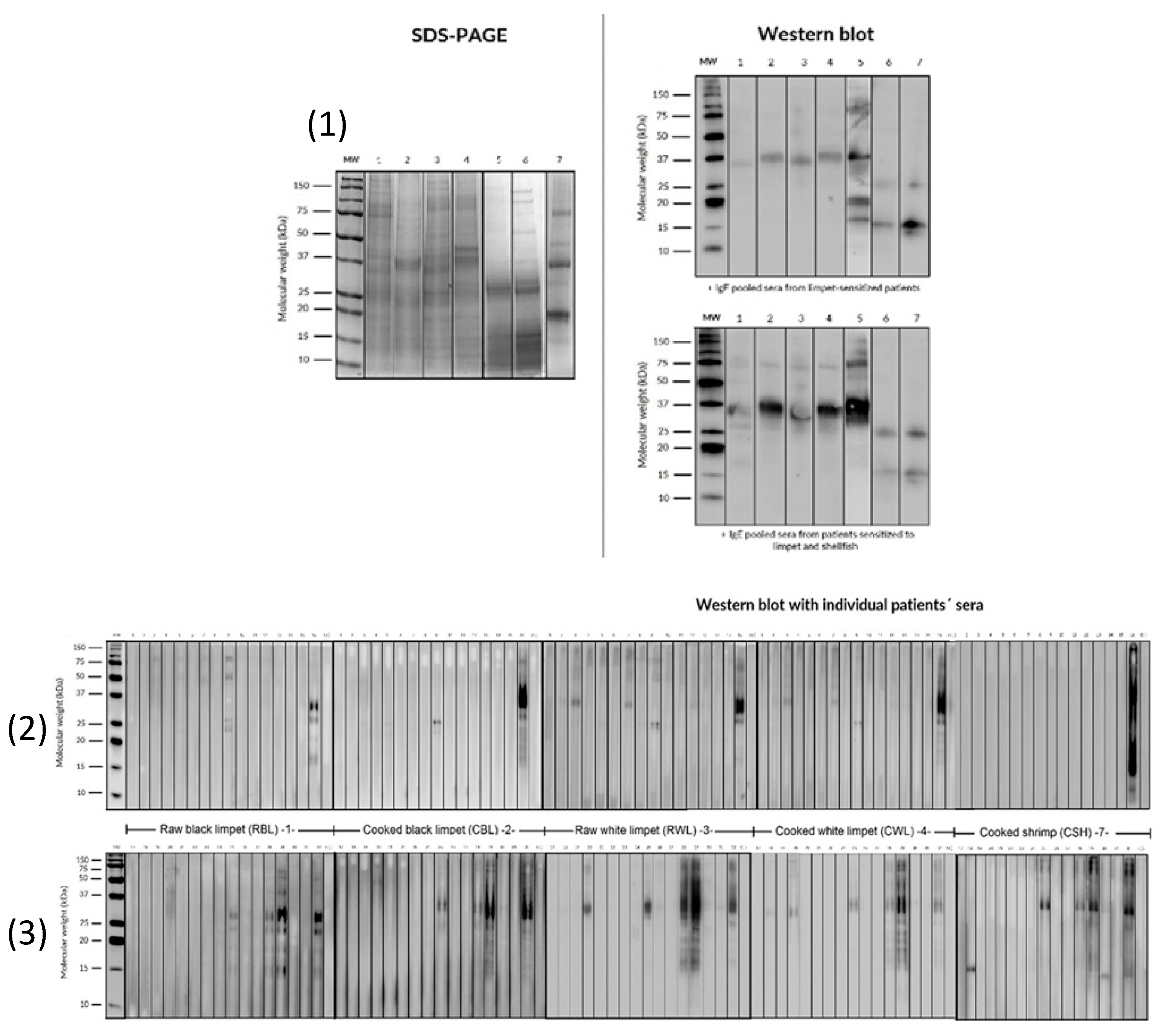 Preprints 121585 g005