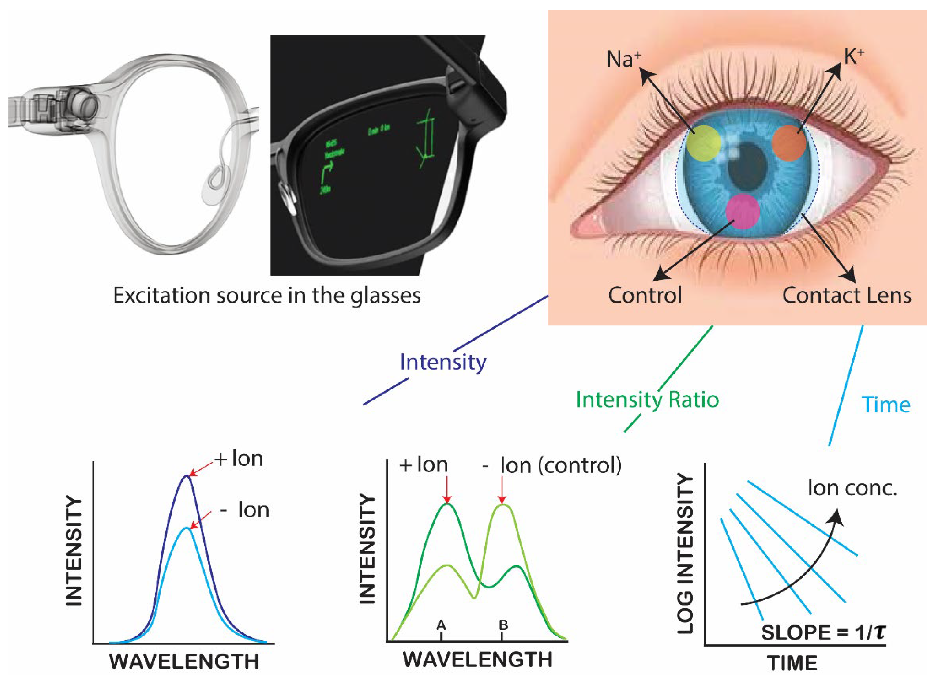Preprints 163068 g001