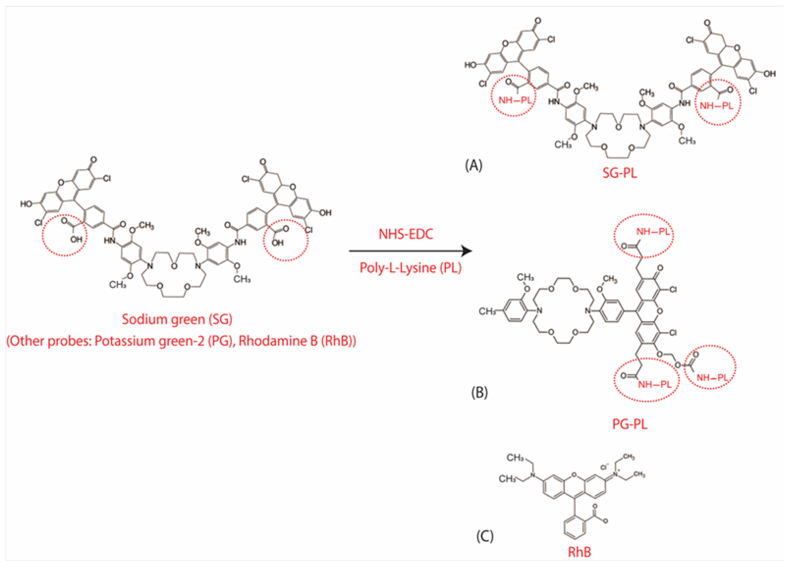 Preprints 163068 g002