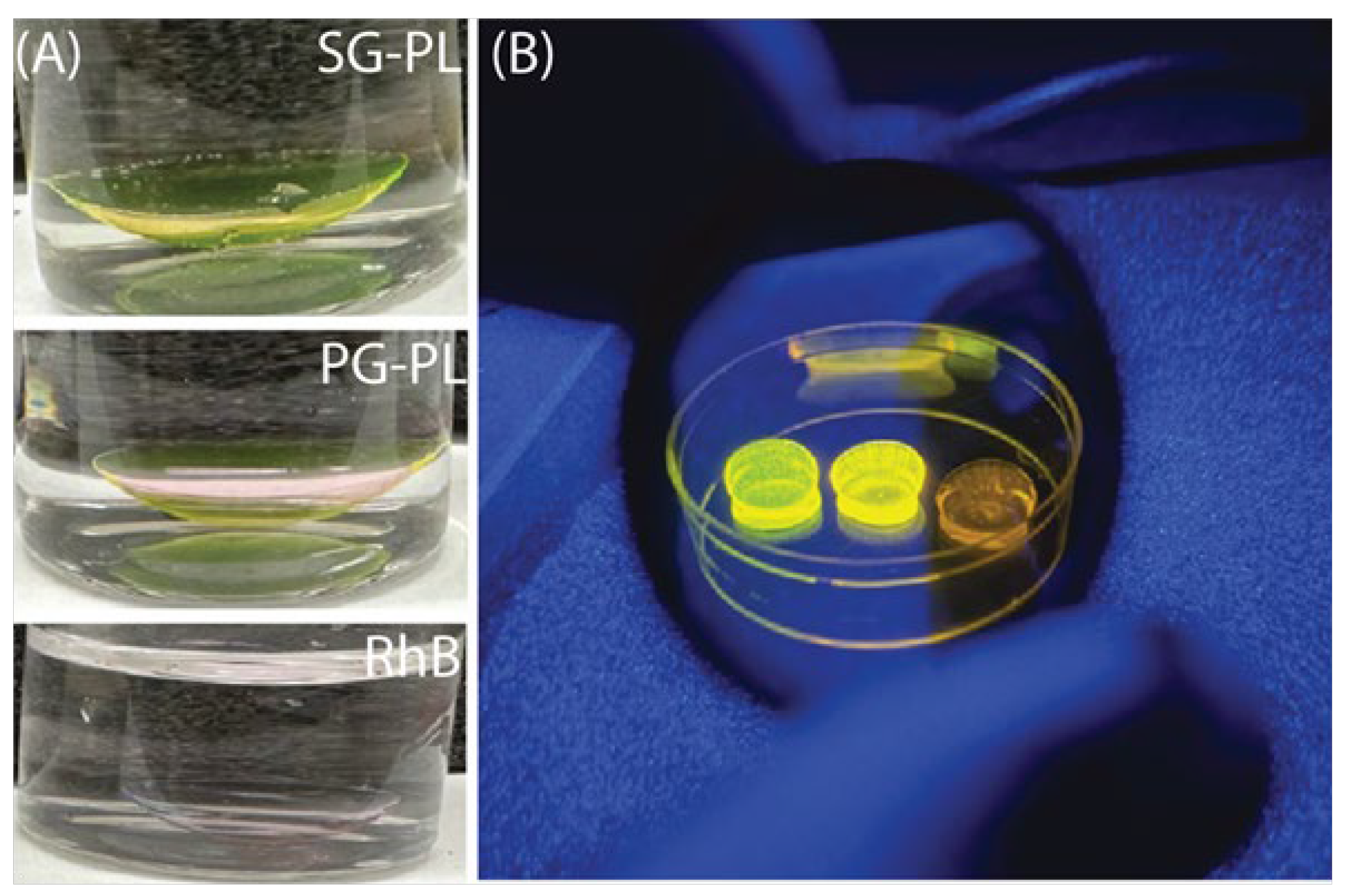 Preprints 163068 g004