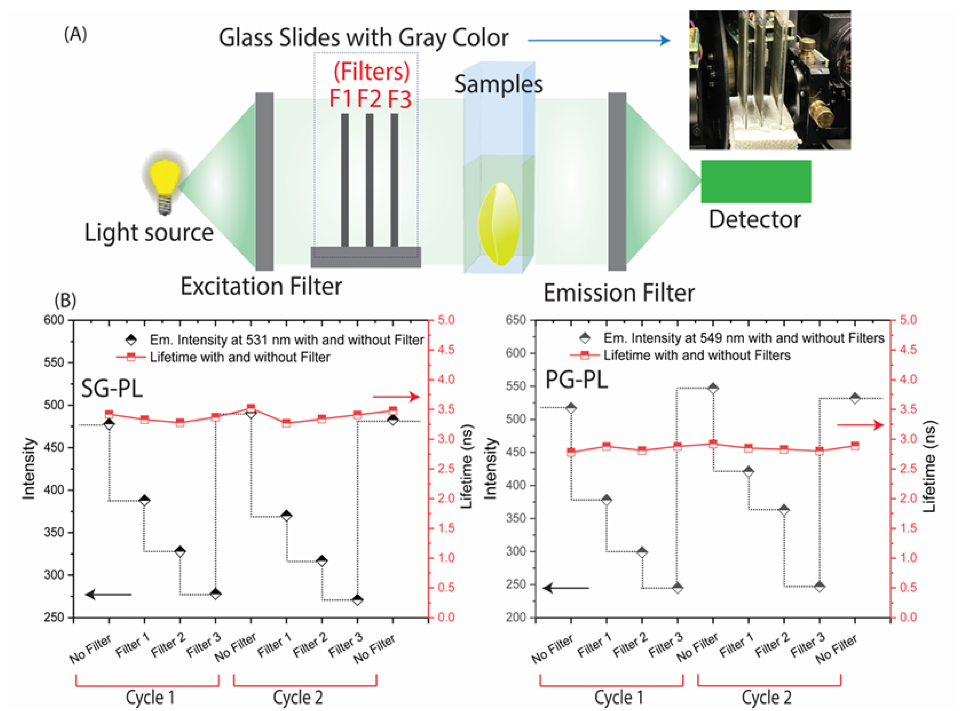 Preprints 163068 g009