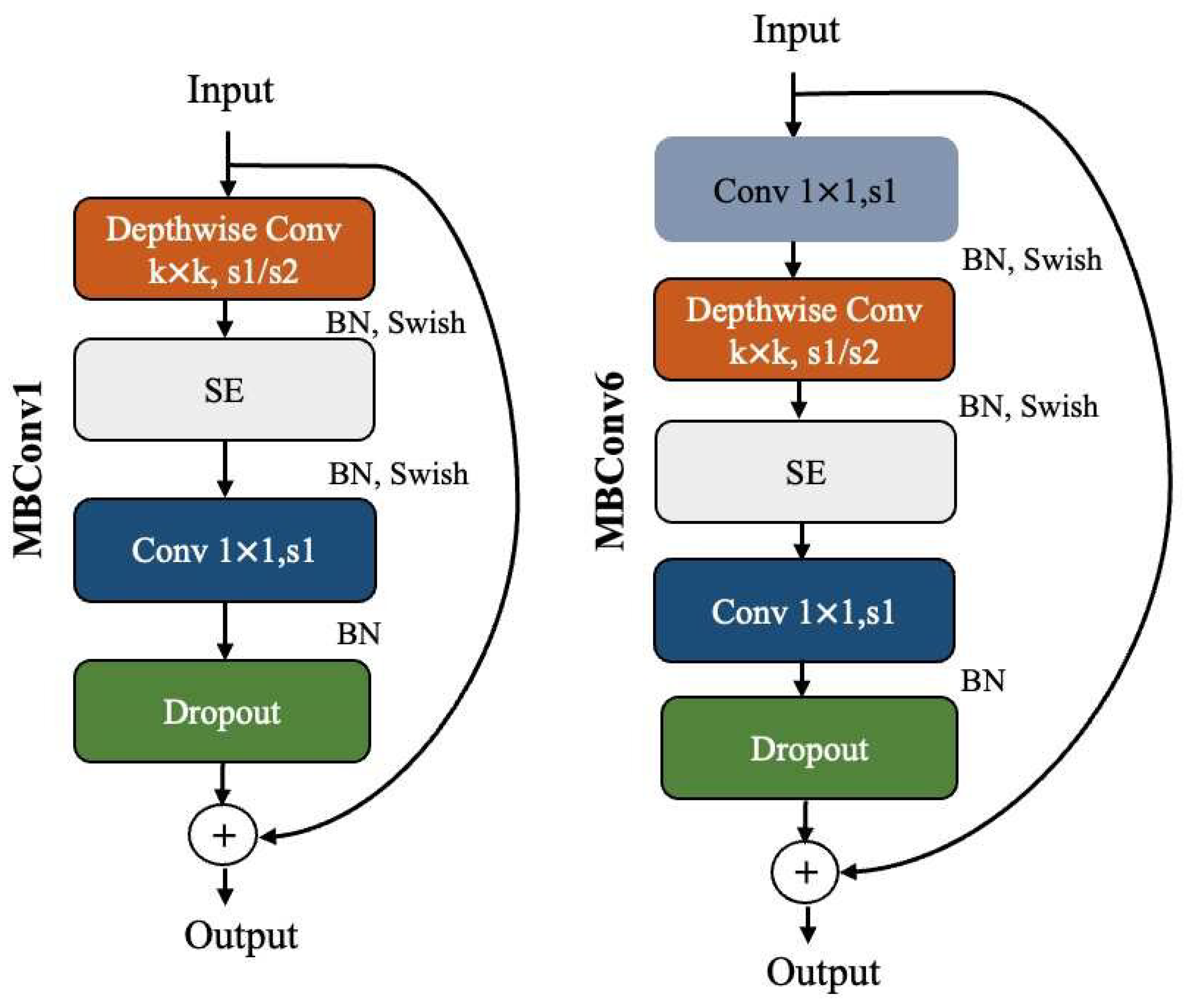 Truncating the EfficientNet-B0 for Computer Aided Diagnosis of ...