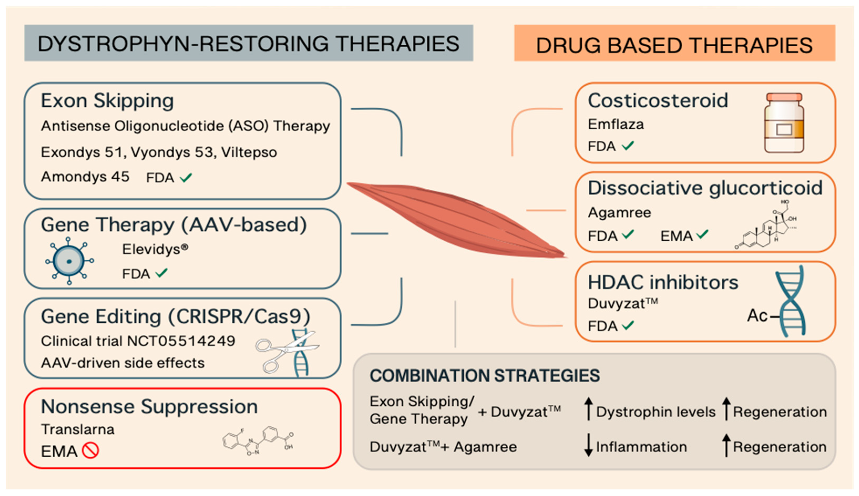 Preprints 165234 g001