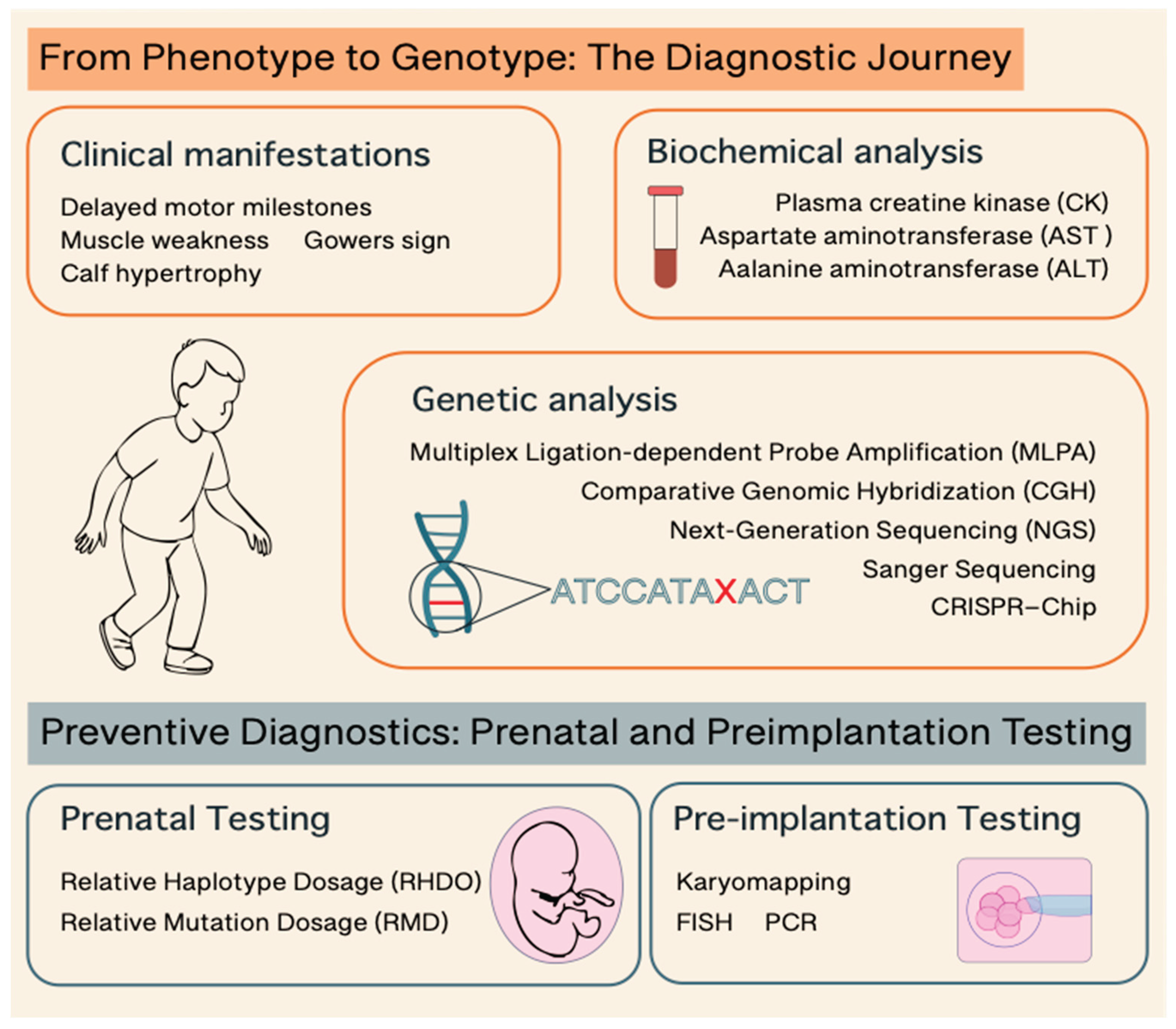 Preprints 165234 g002