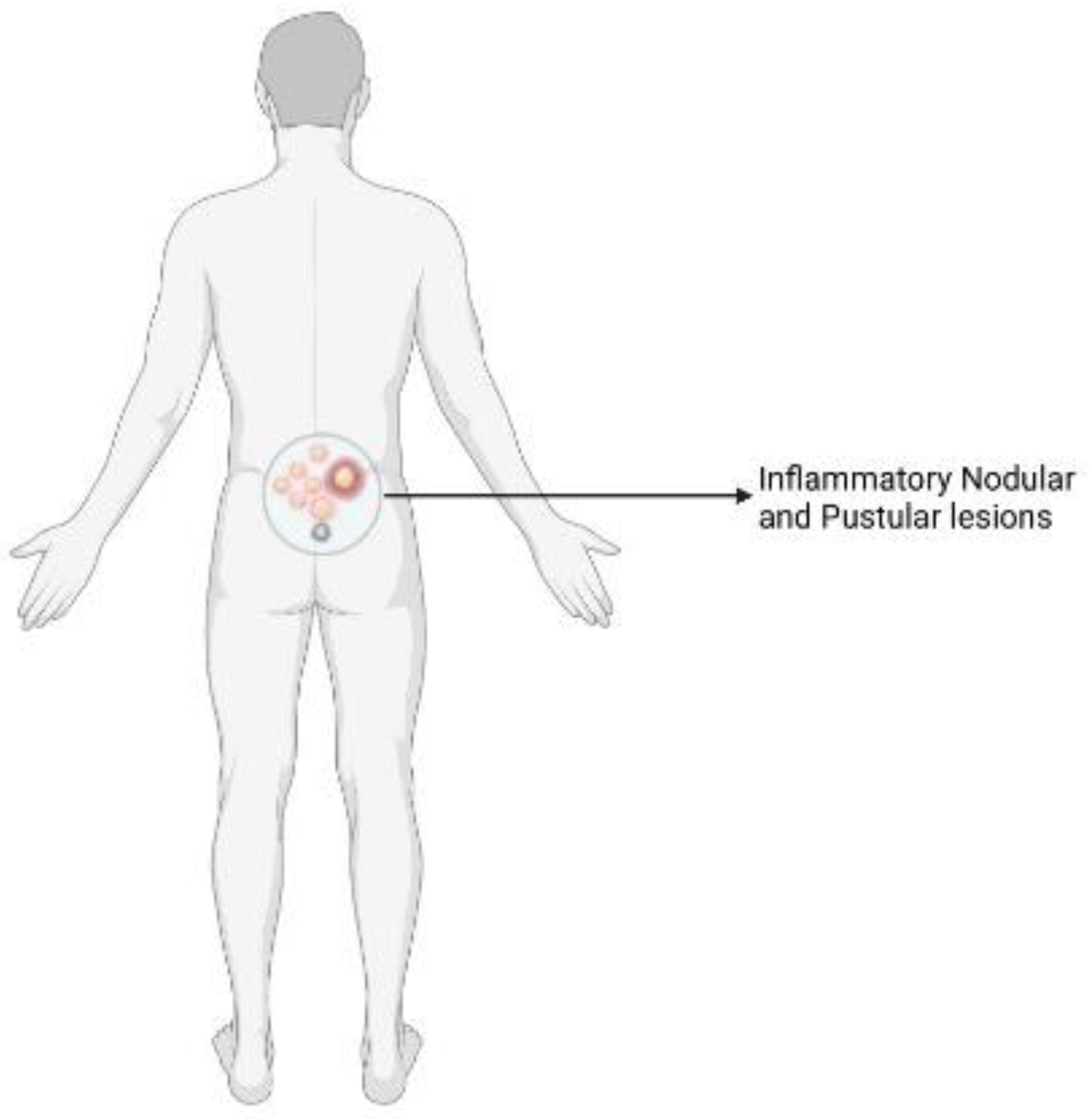 Preprints 174140 g001