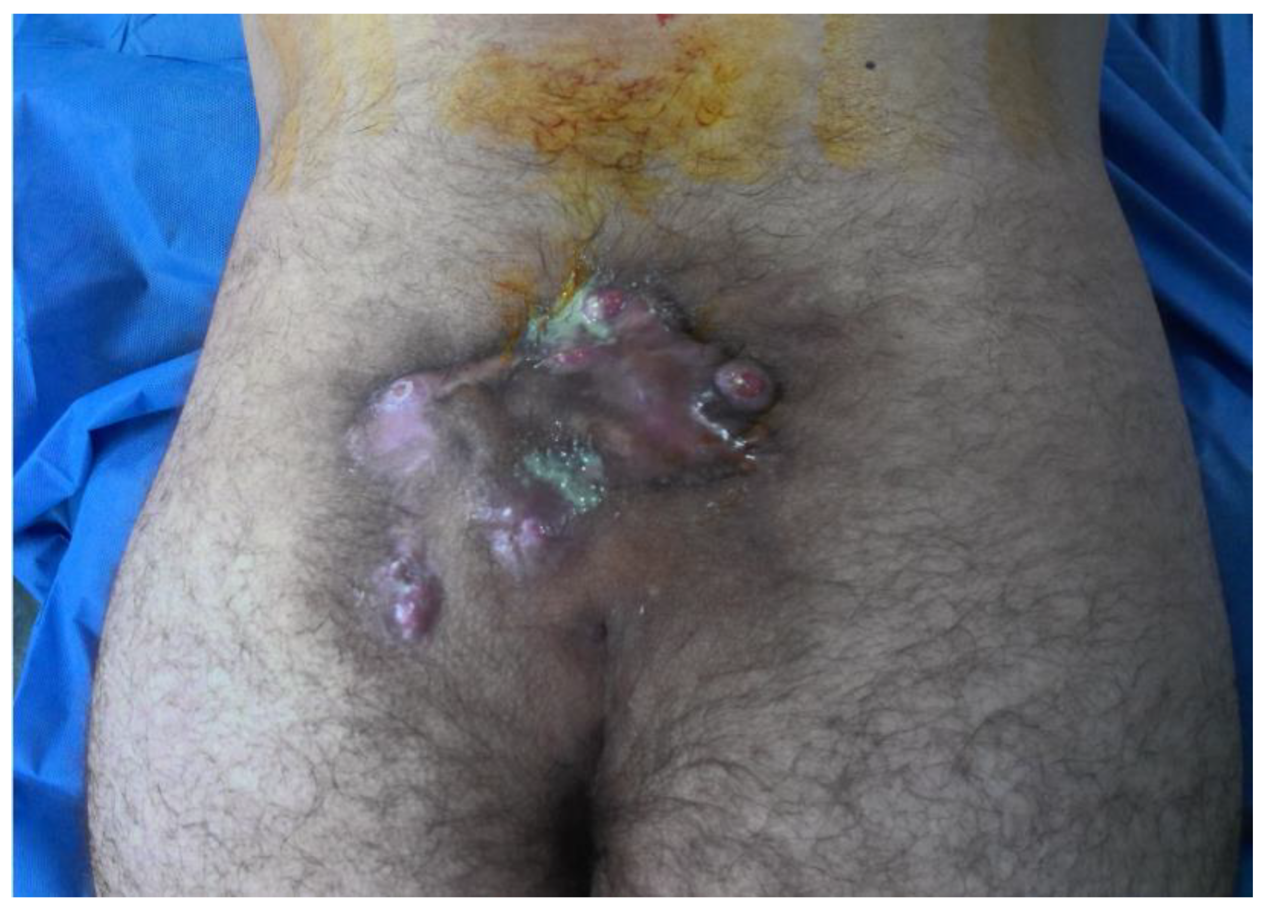 Preprints 174140 g002