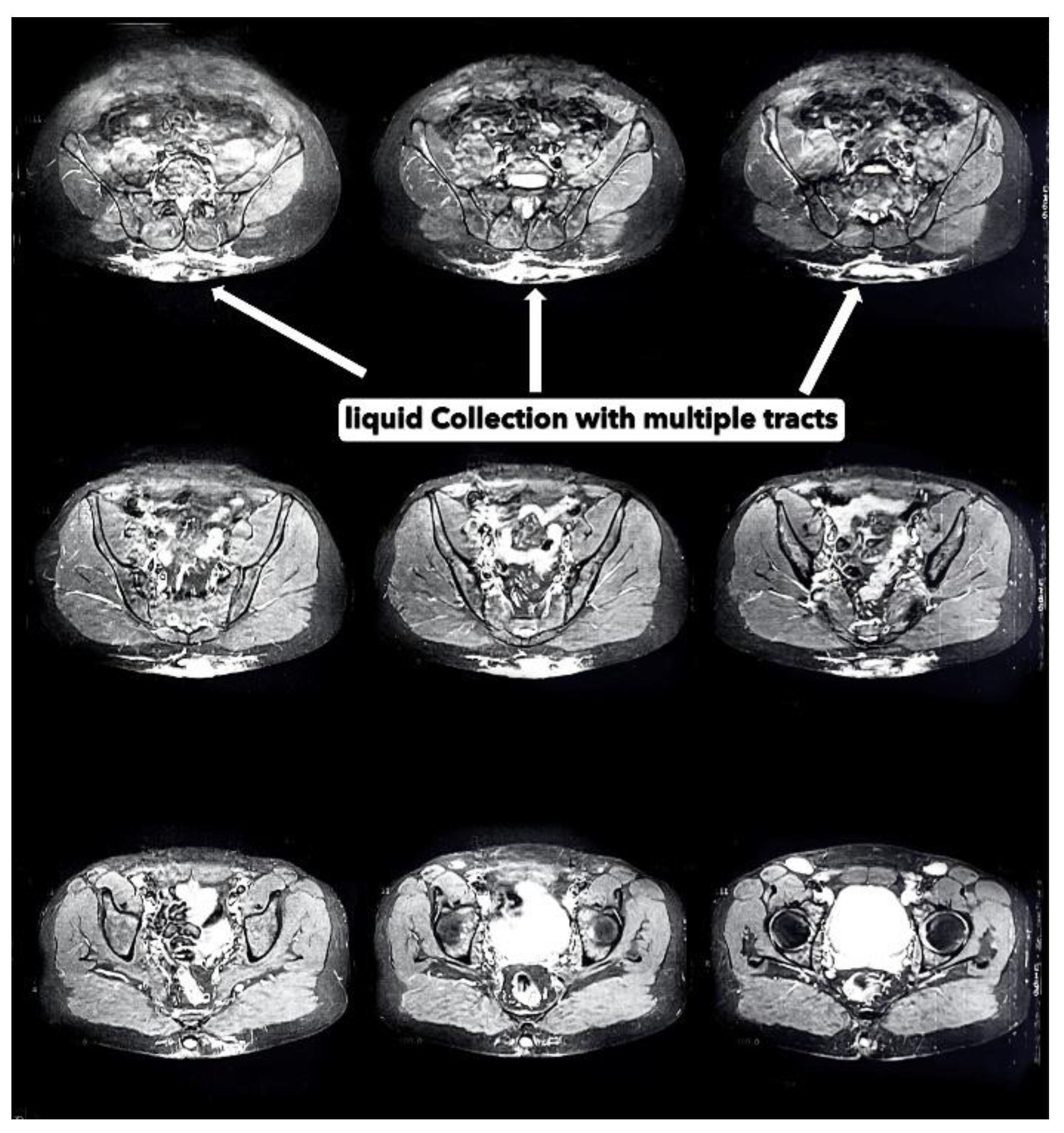 Preprints 174140 g003