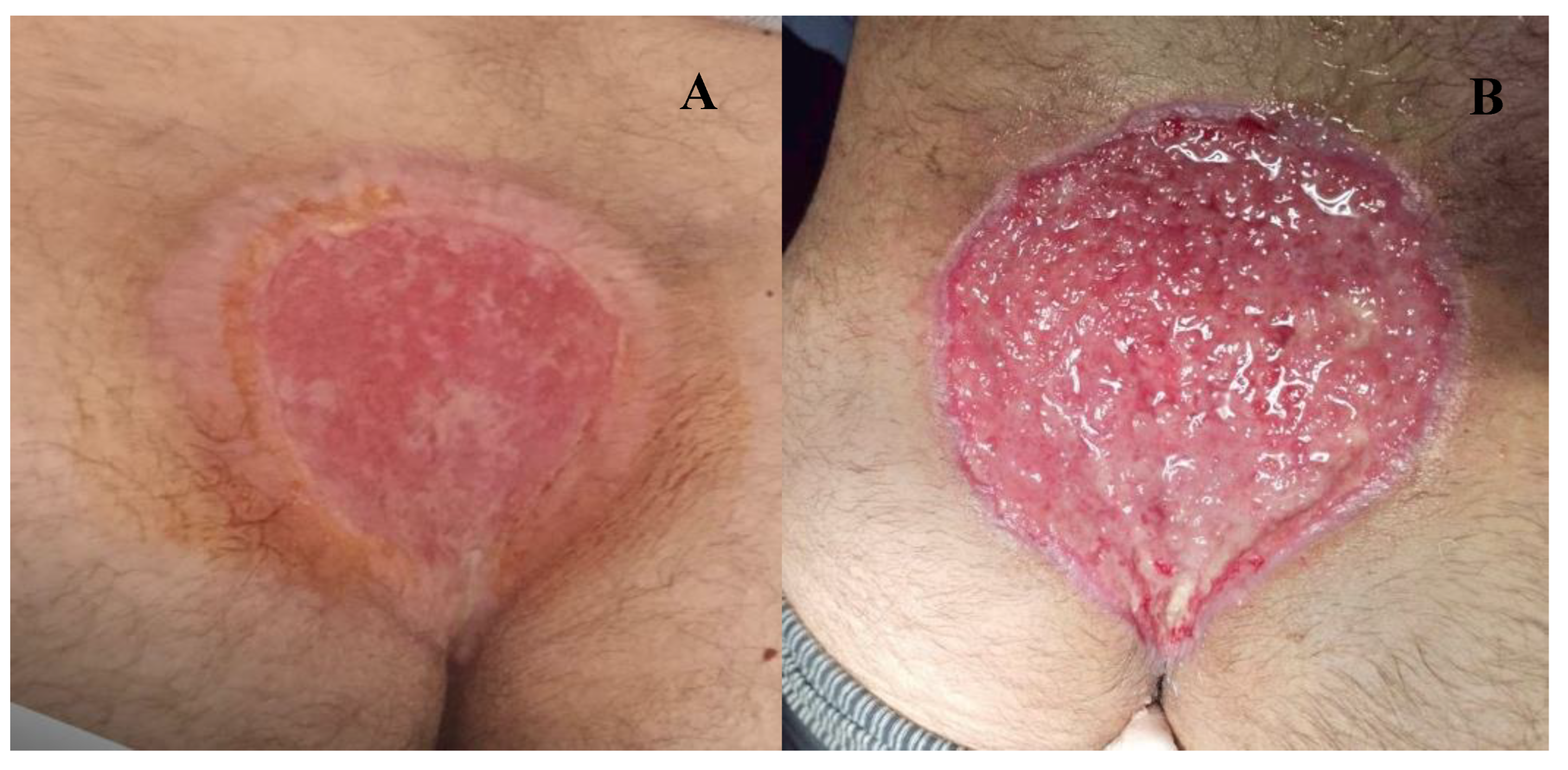 Preprints 174140 g006