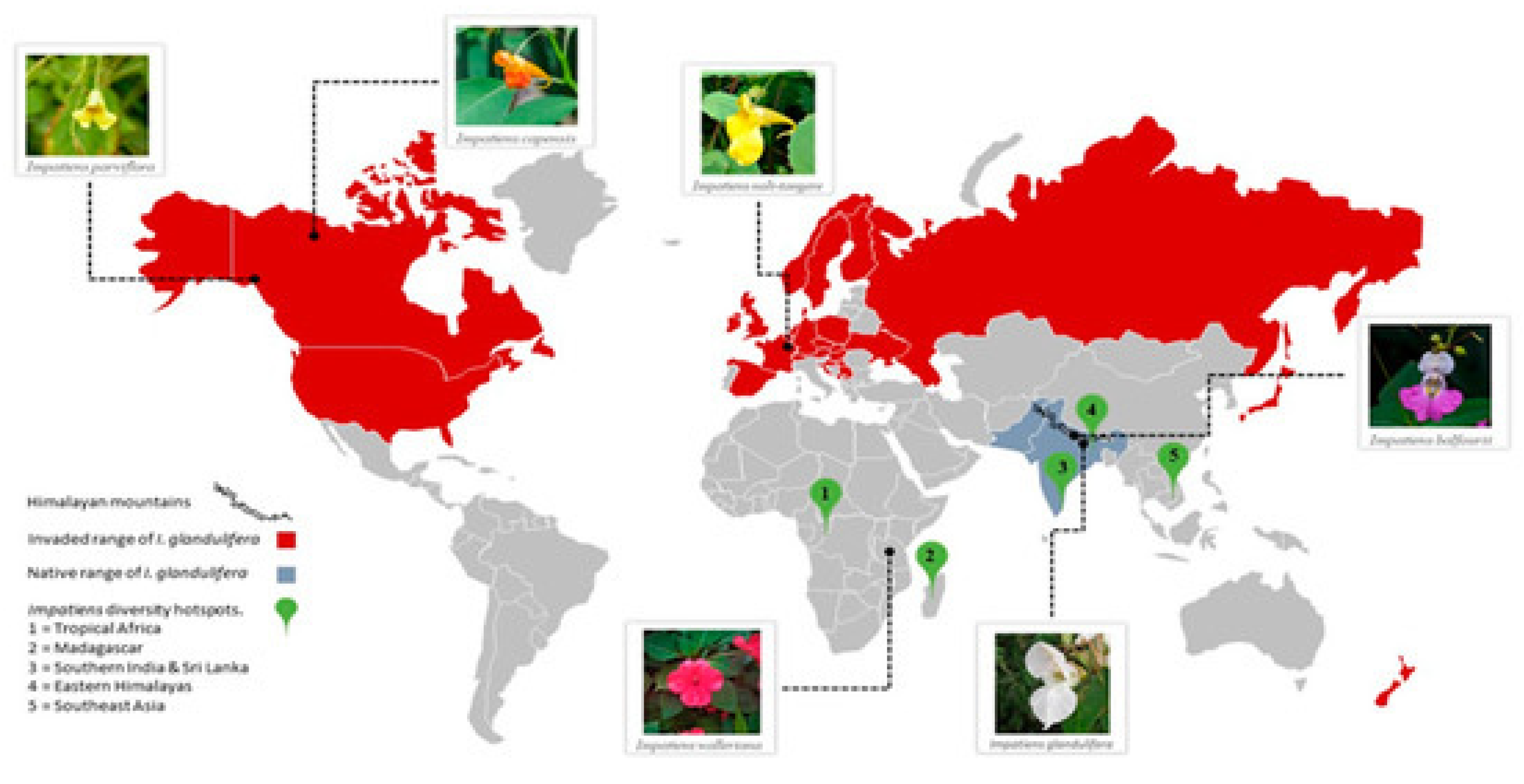 Preprints 145258 g003