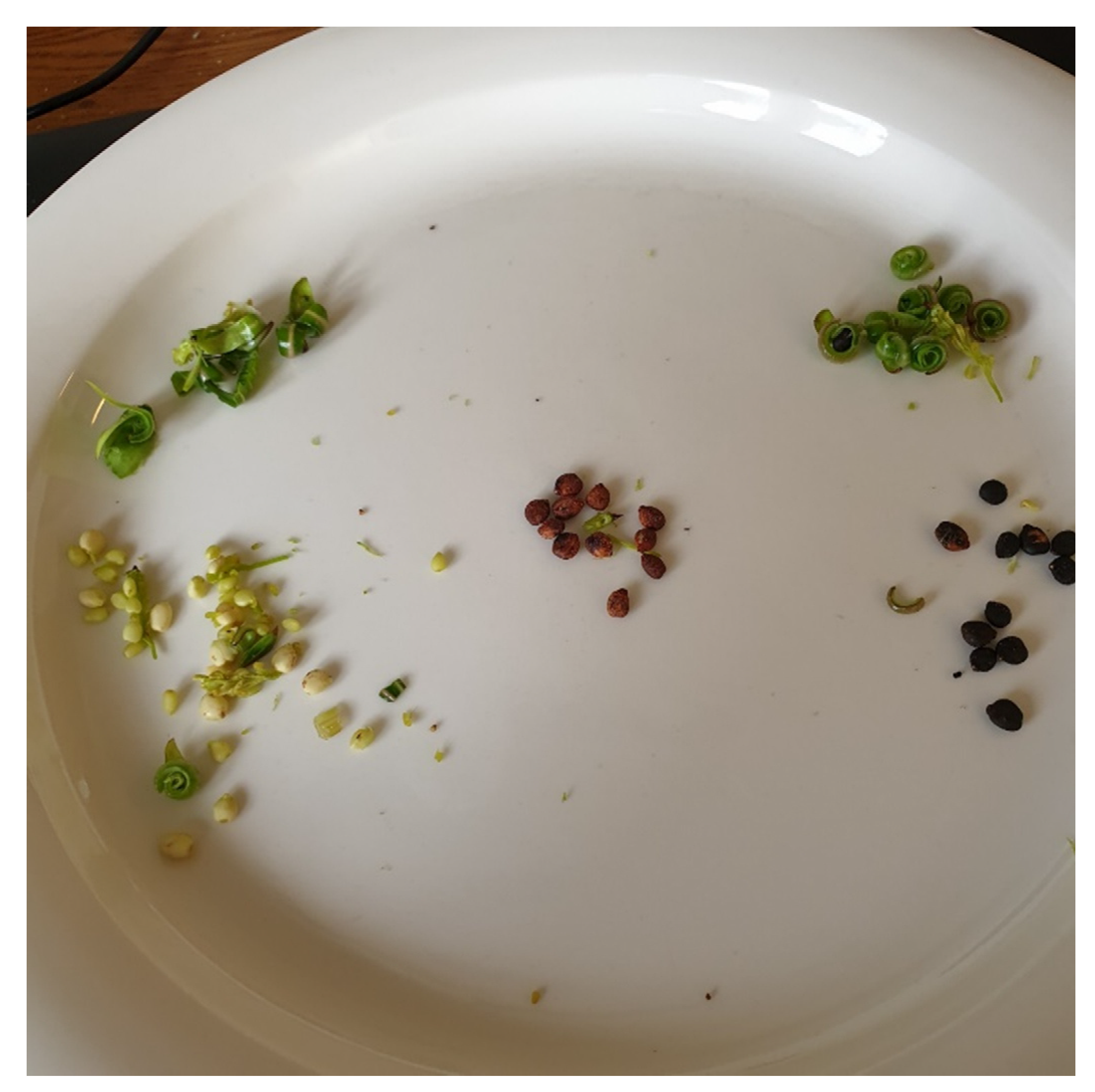 Preprints 145258 g005