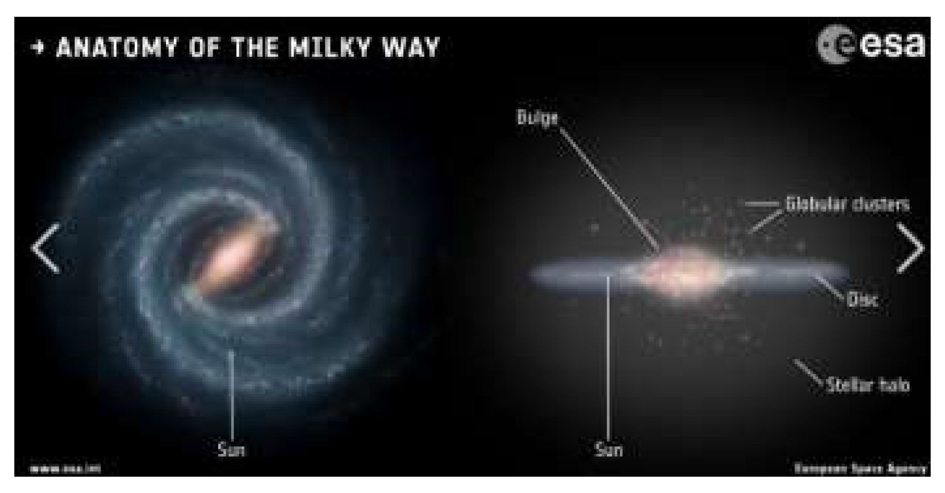 Preprints 138482 g001