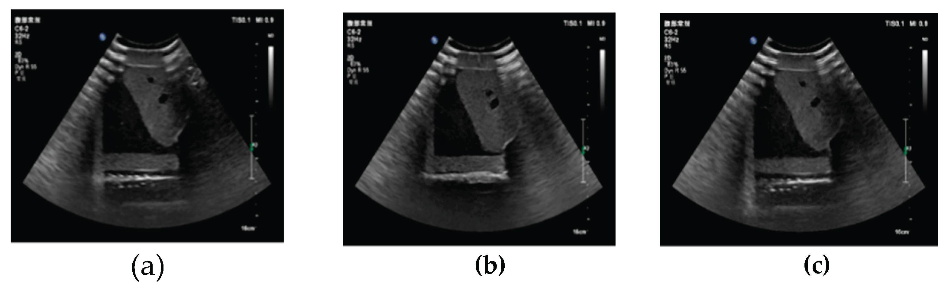 Preprints 173353 g008