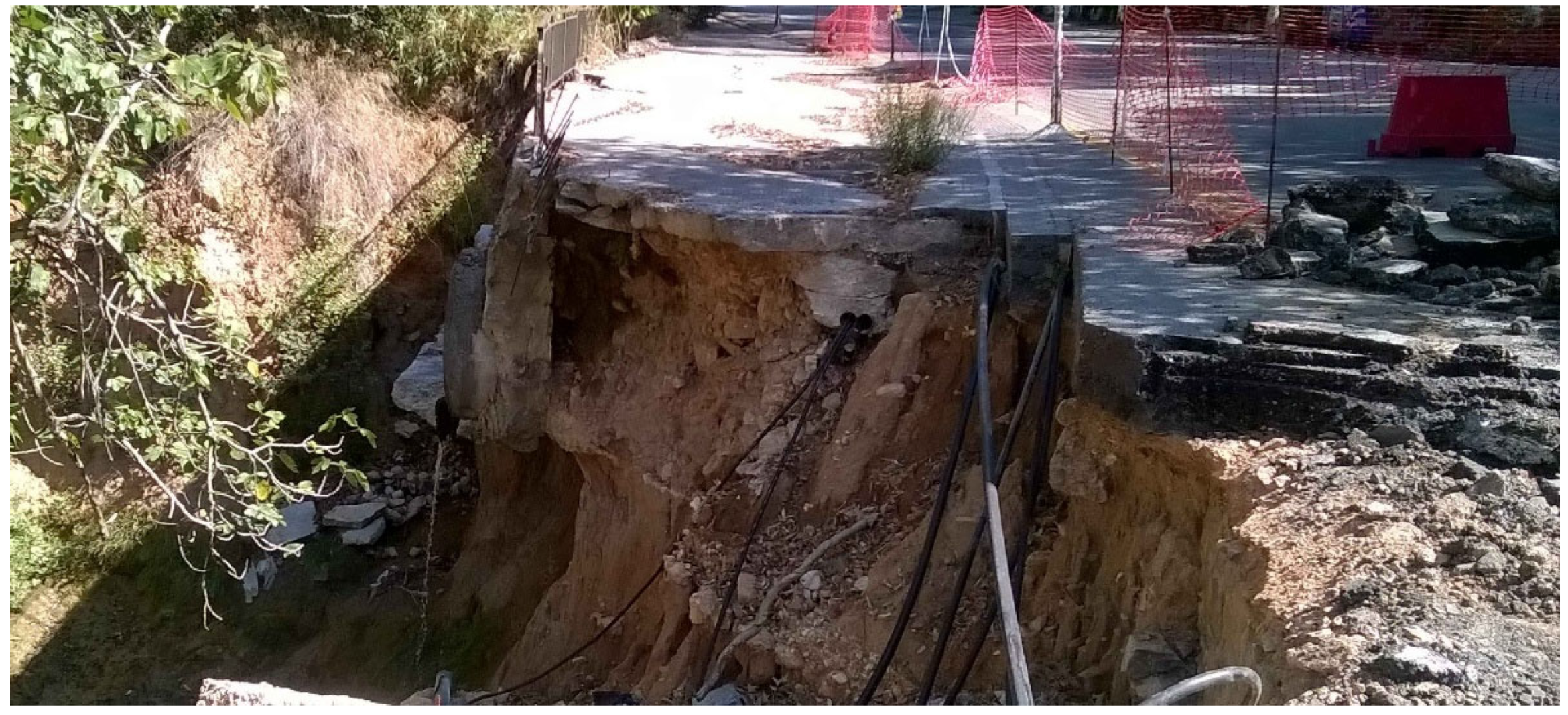 Preprints 166844 g002