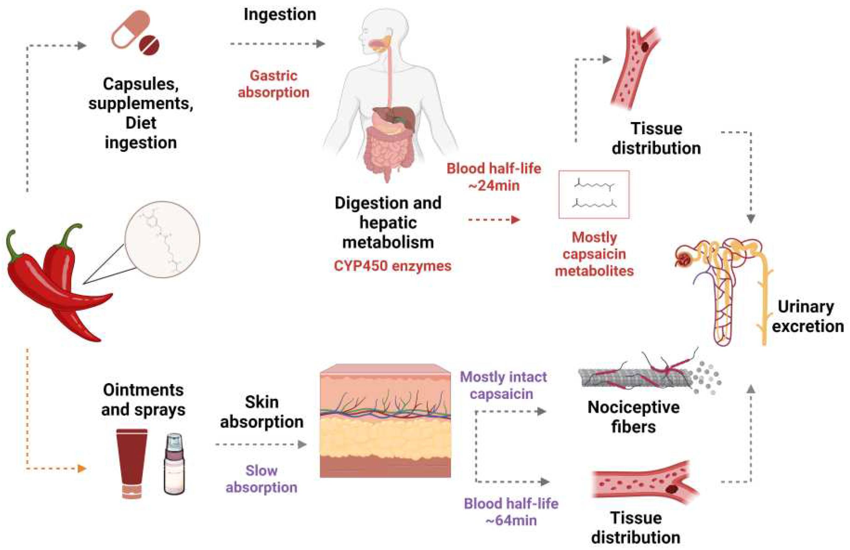Preprints 86231 g001