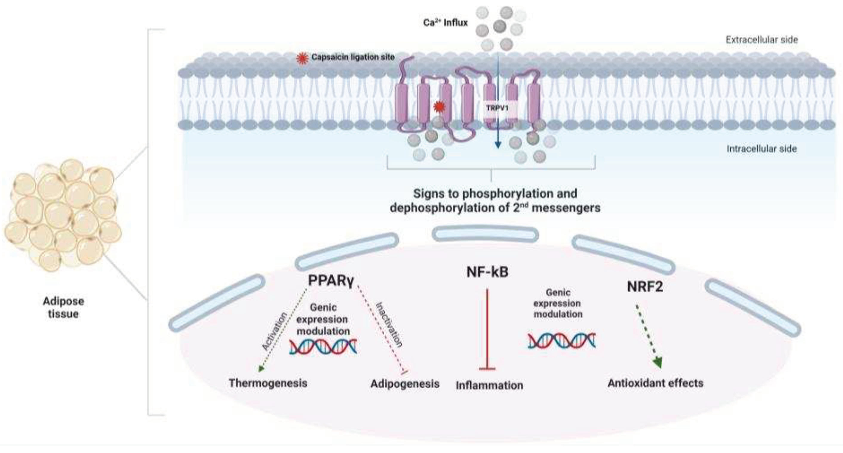Preprints 86231 g002