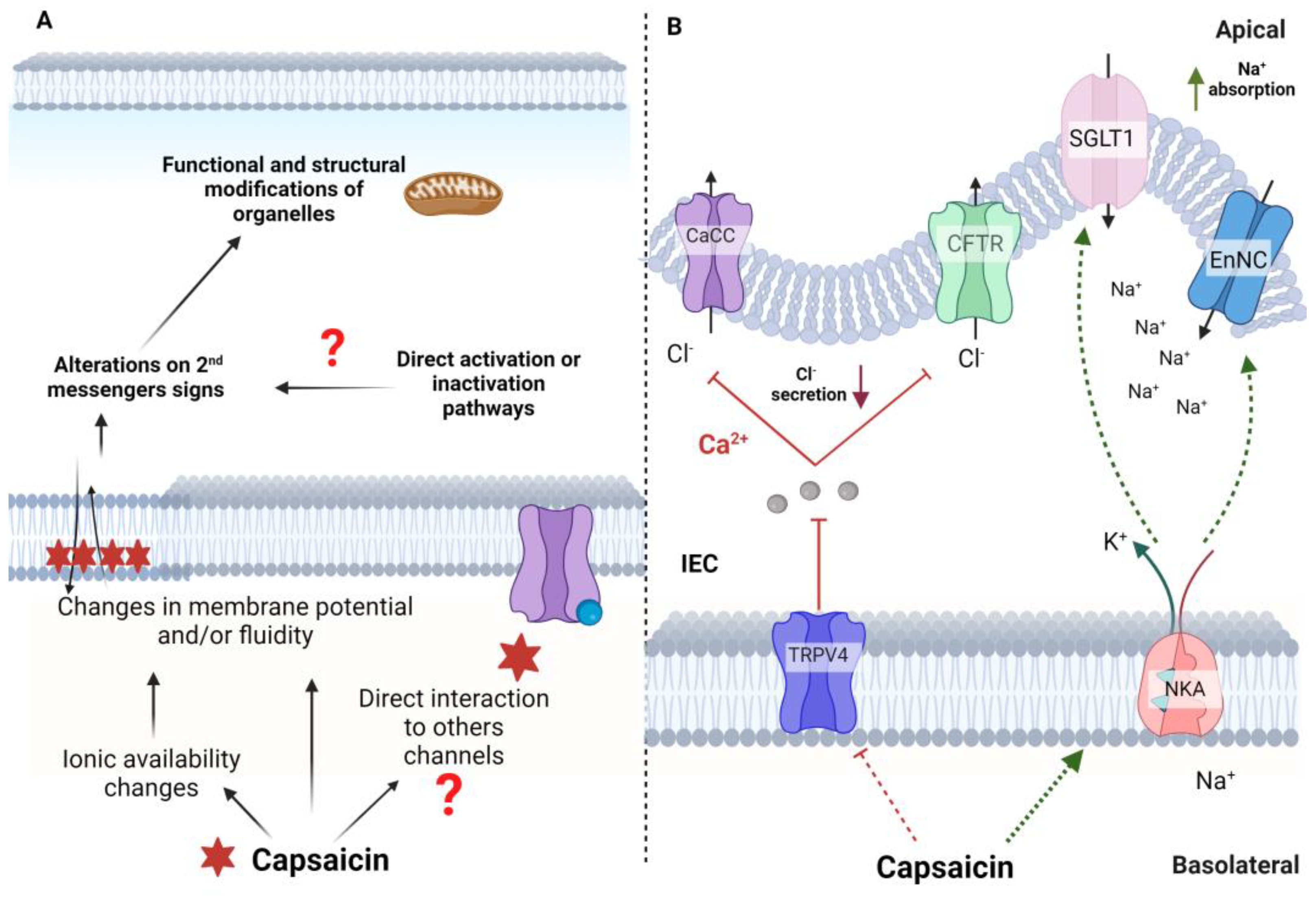 Preprints 86231 g003