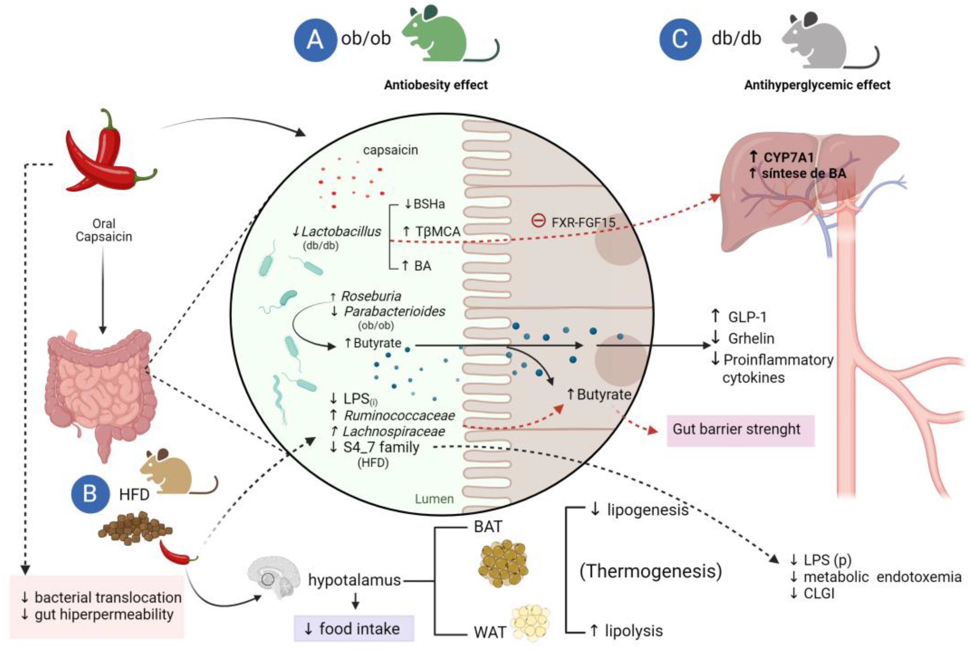 Preprints 86231 g004