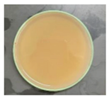 Preprints 166673 i002