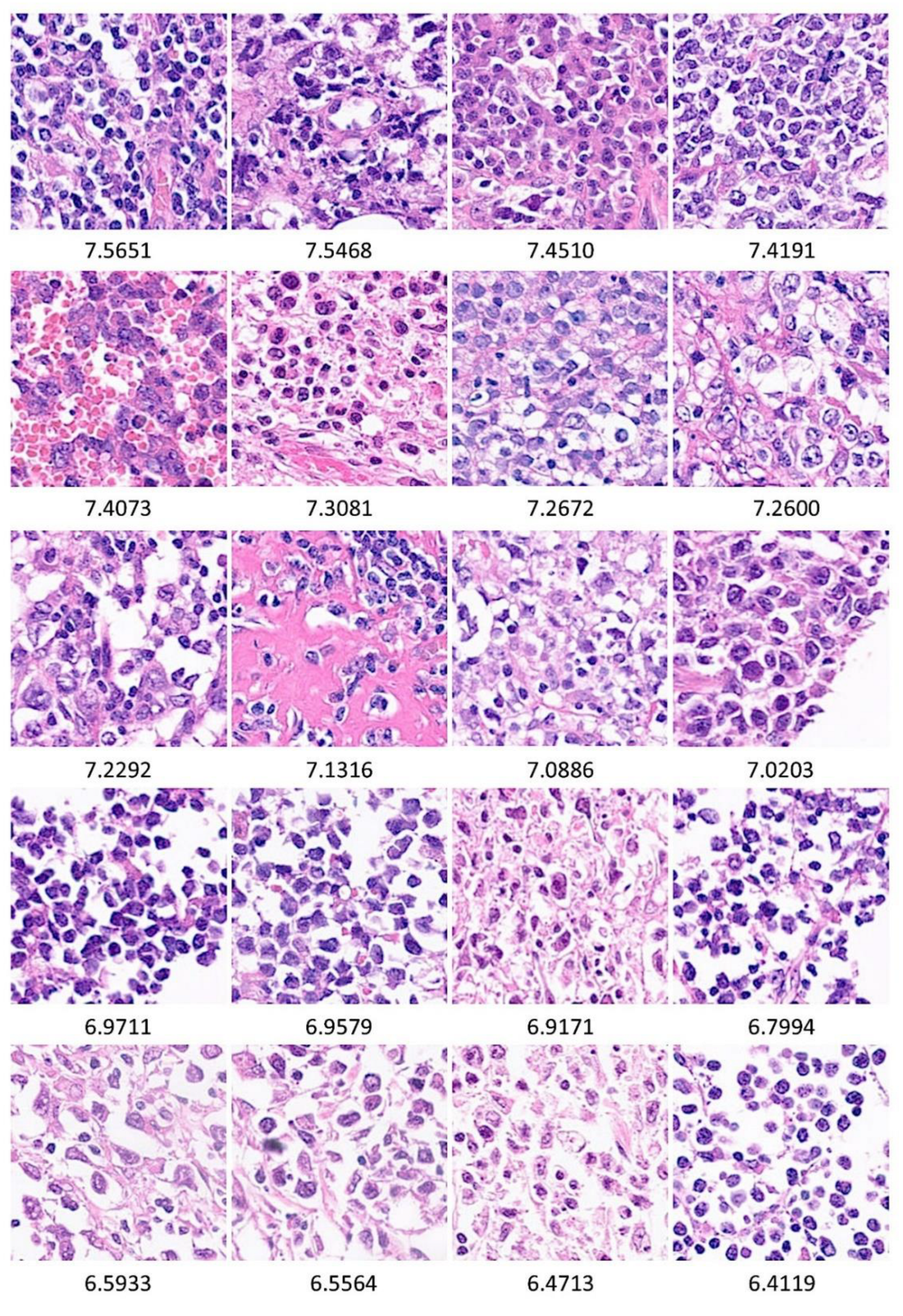 Preprints 217581 g006 Preprints 217581 g006