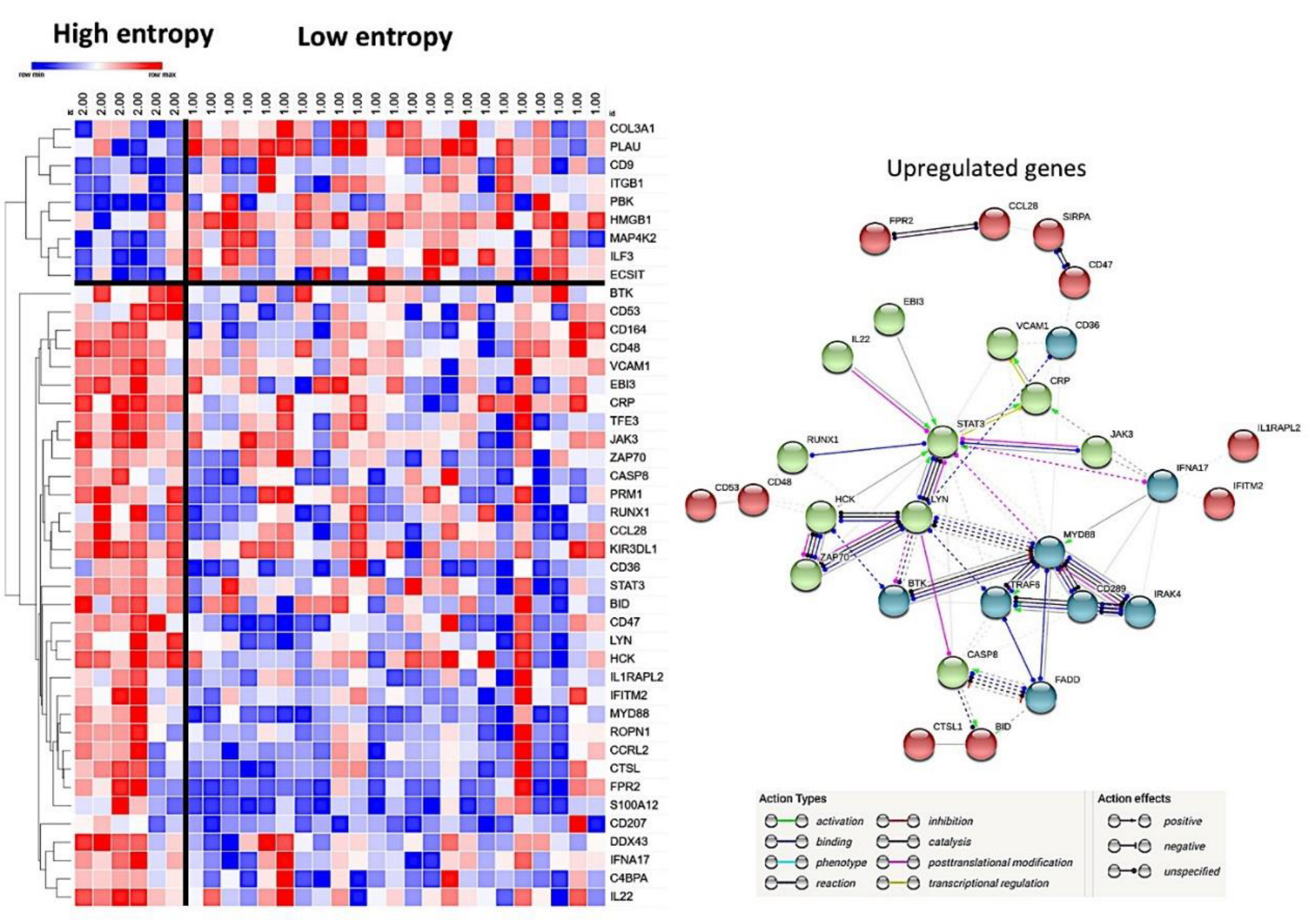 Preprints 217581 g007 Preprints 217581 g007