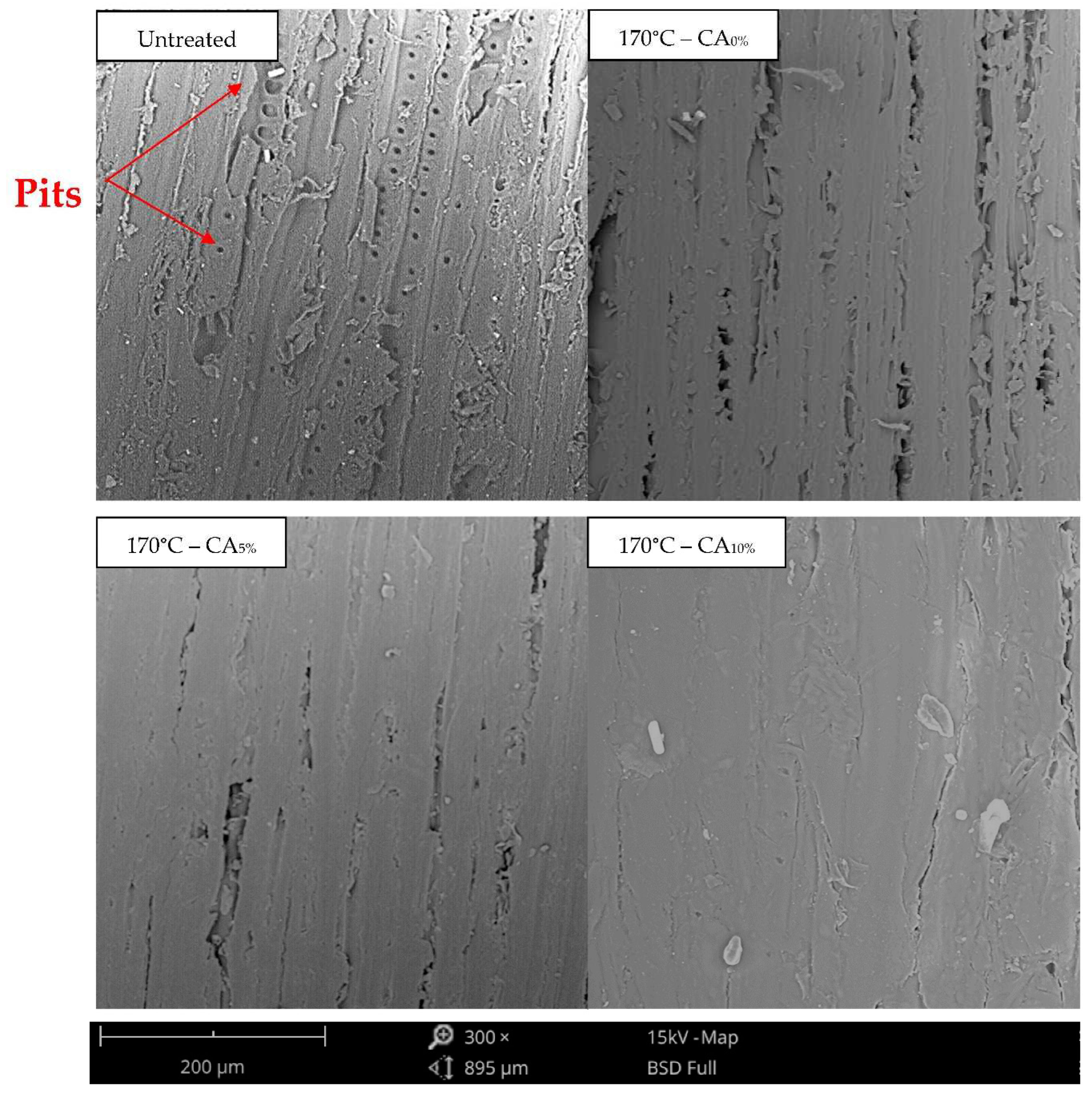 Preprints 82614 g005
