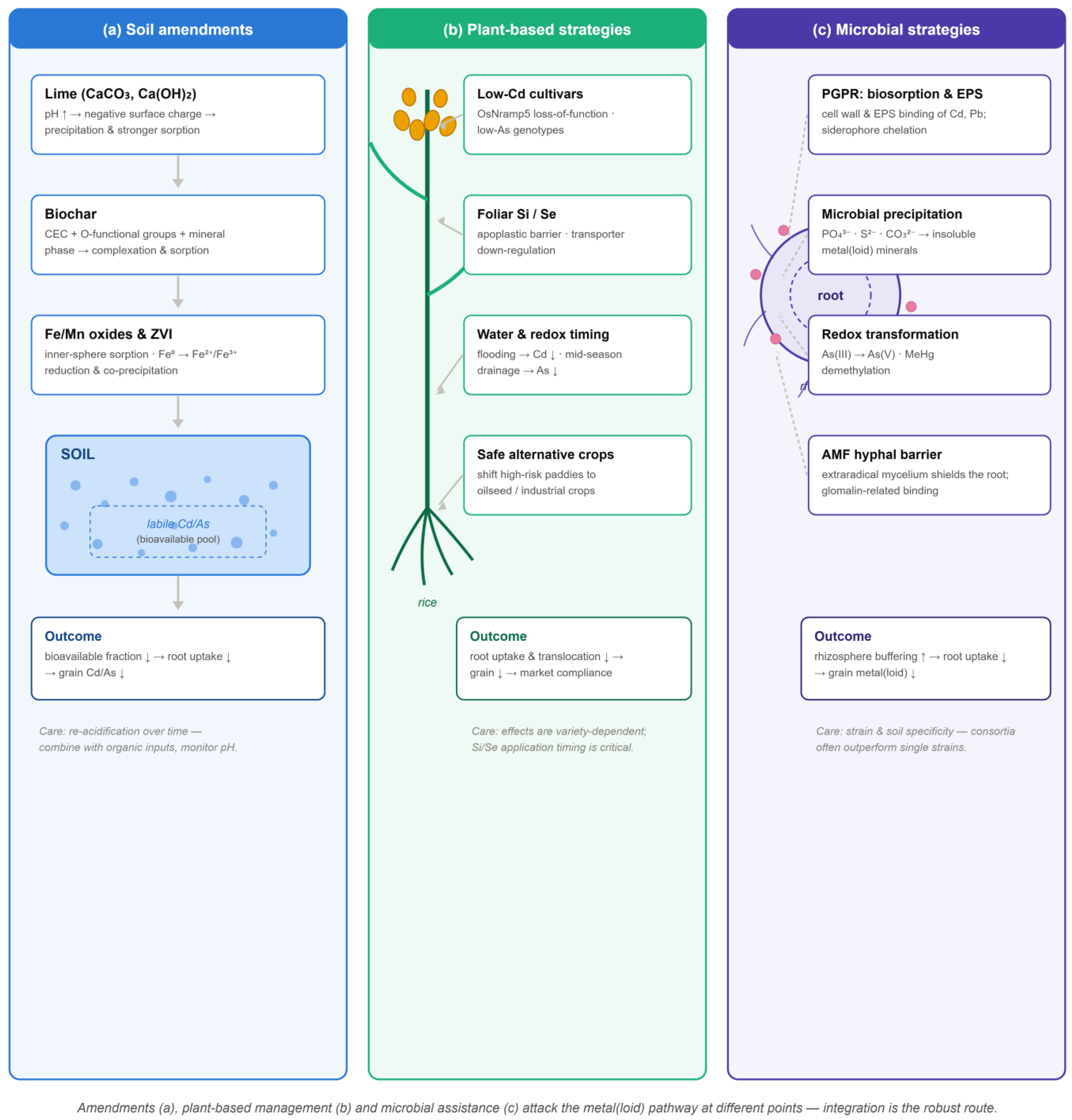 Preprints 231480 g002 Preprints 231480 g002