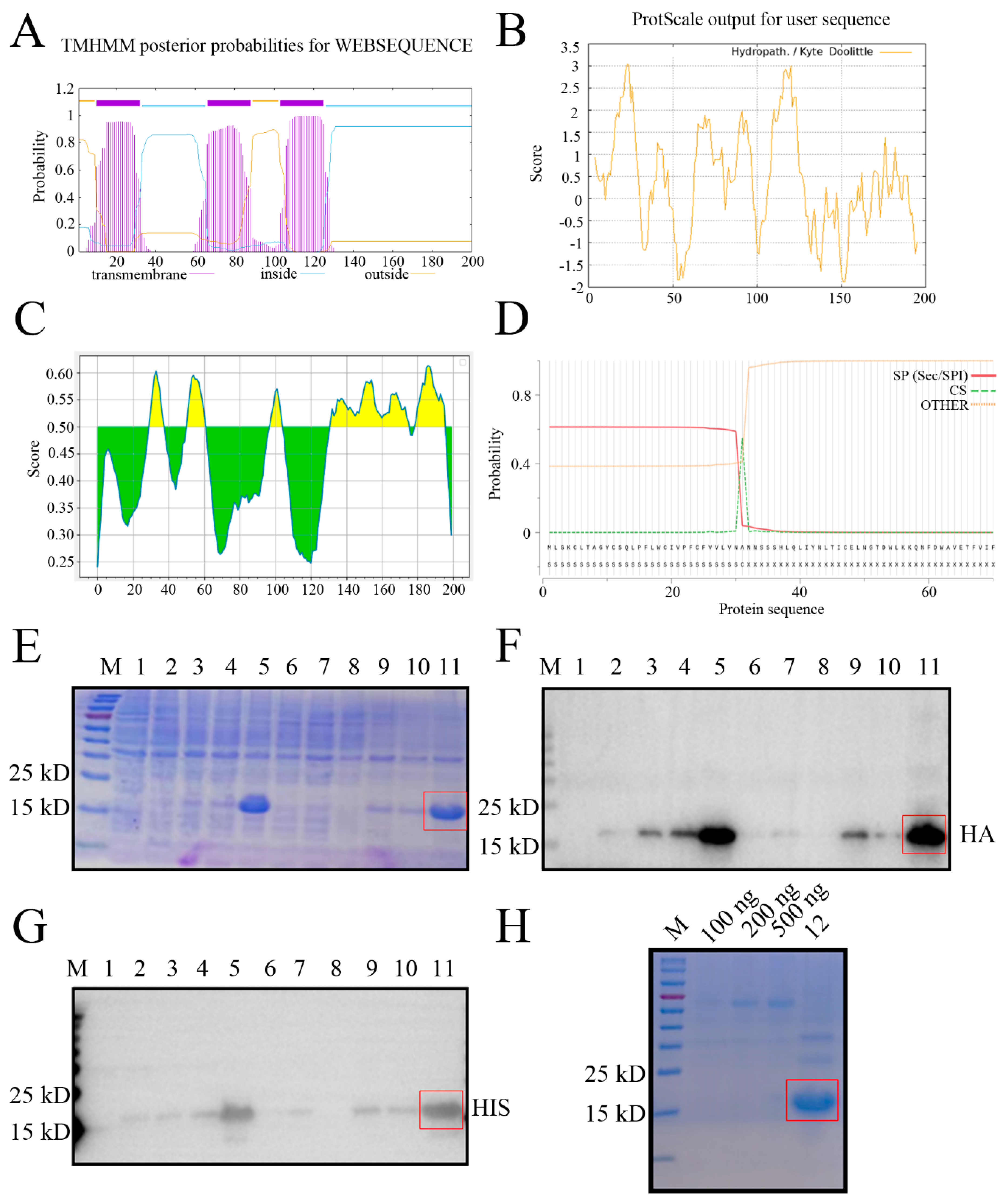 Preprints 150850 g001