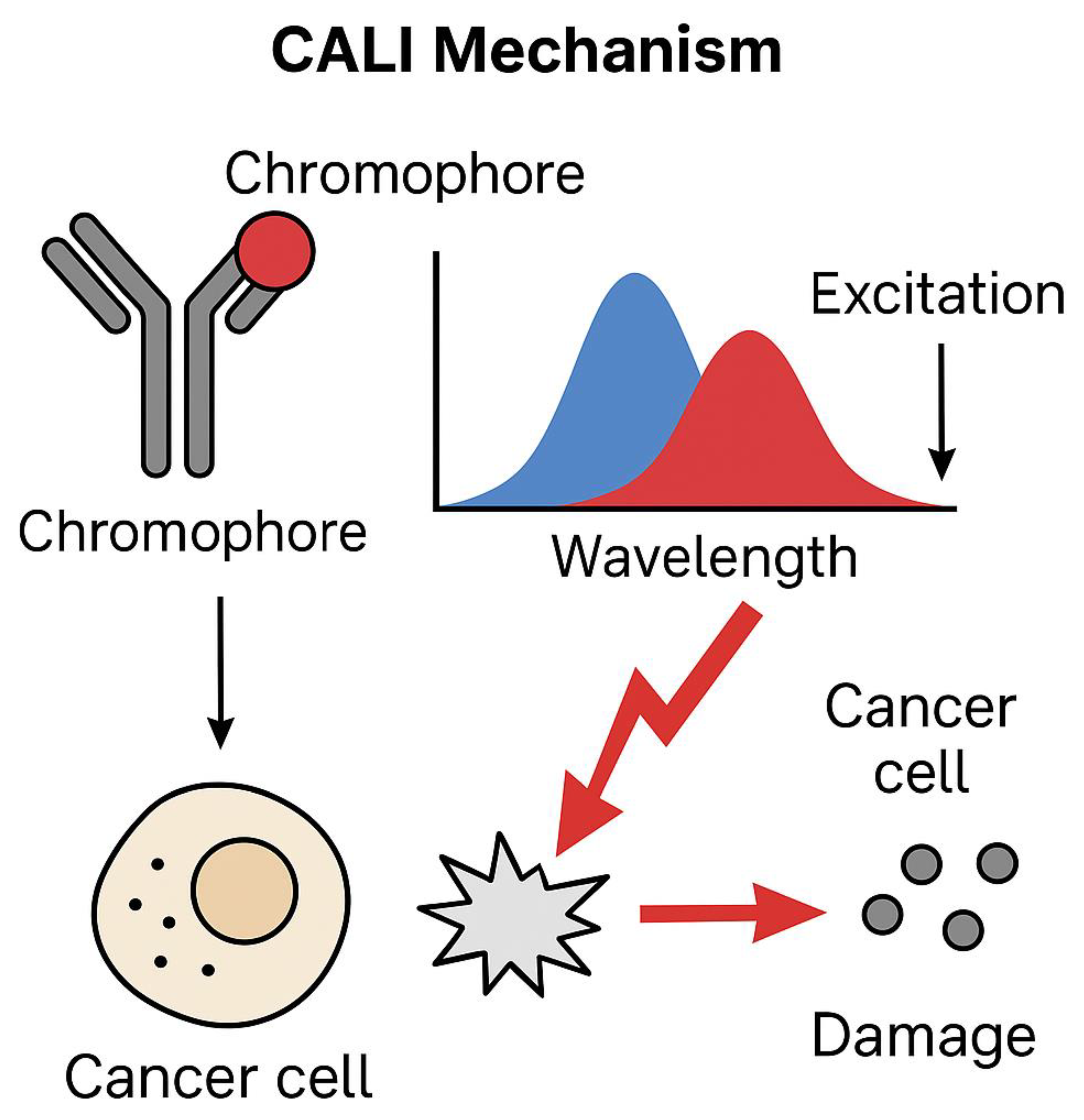Preprints 164177 g002