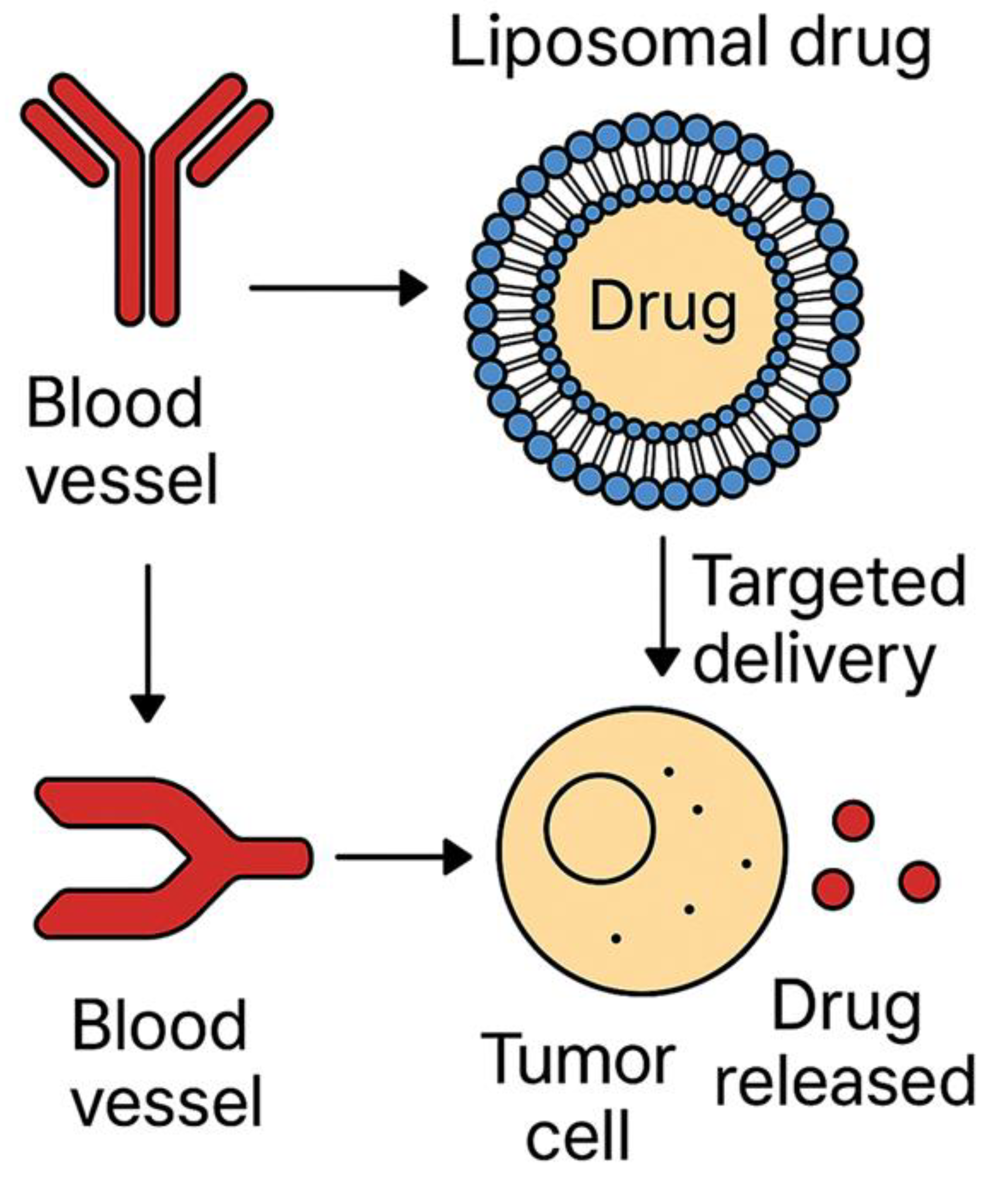 Preprints 164177 g003