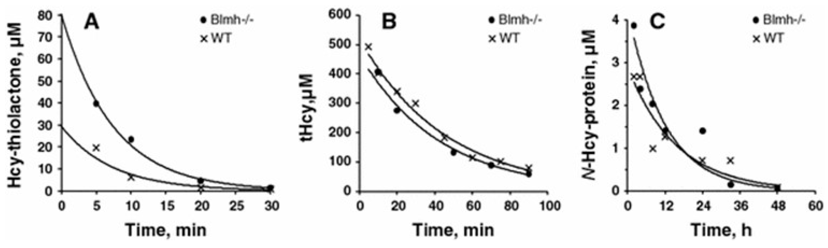 Preprints 108259 g002
