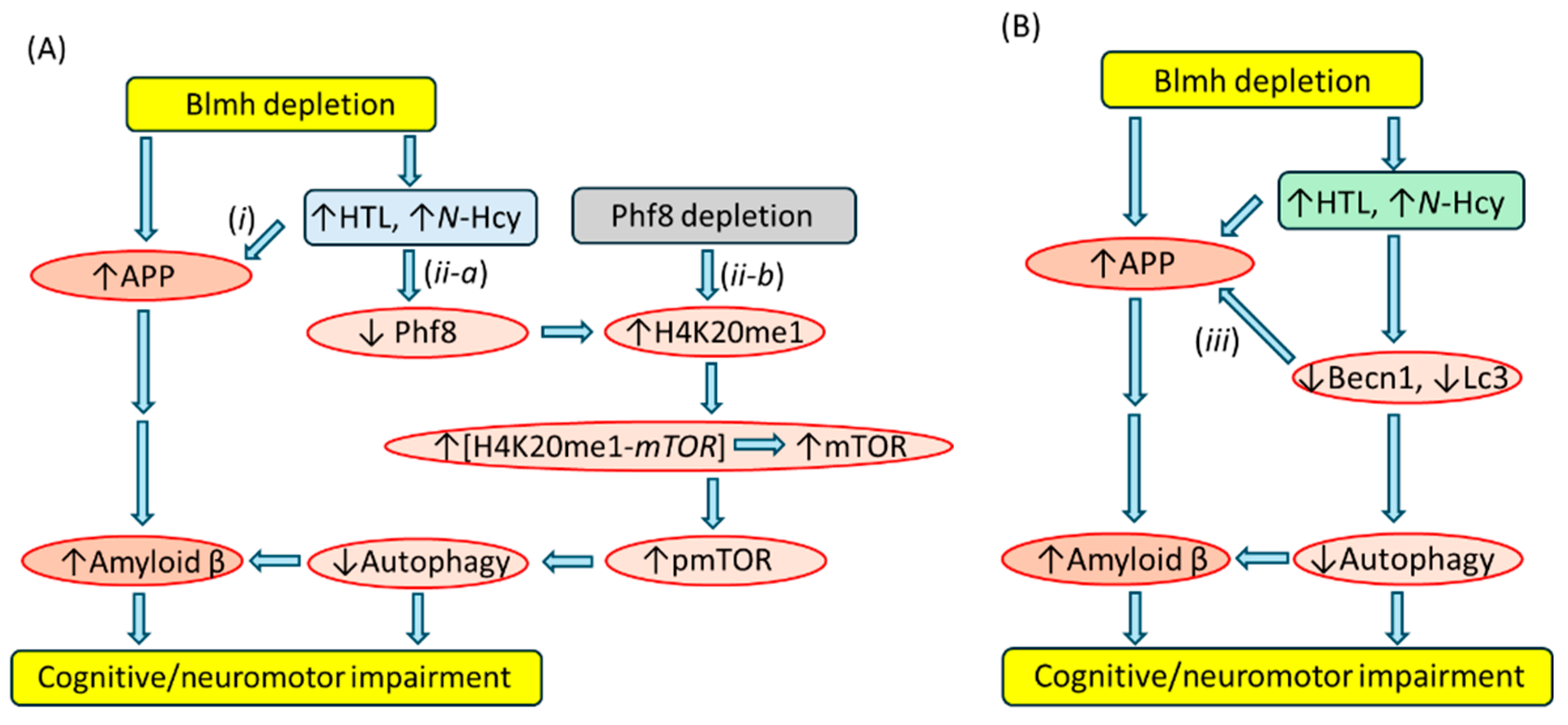 Preprints 108259 g006